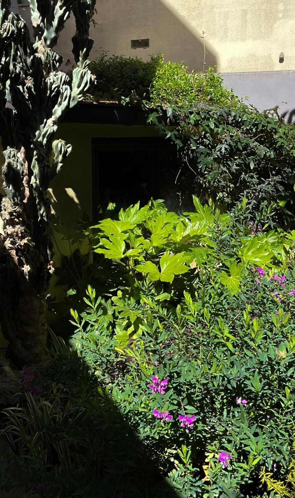 Loquat House Nel Giardino Segreto In Zona Vaticano Rome