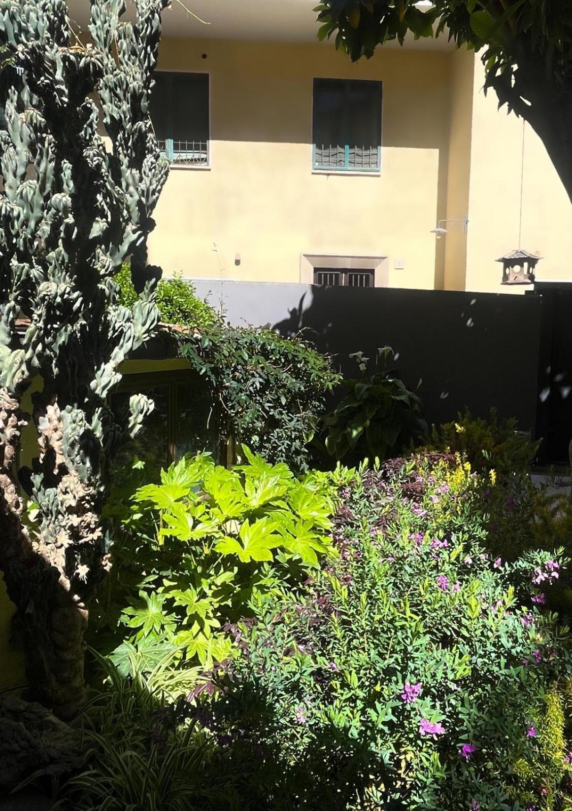 Apartment Loquat House Nel Giardino Segreto In Zona Vaticano Rome
