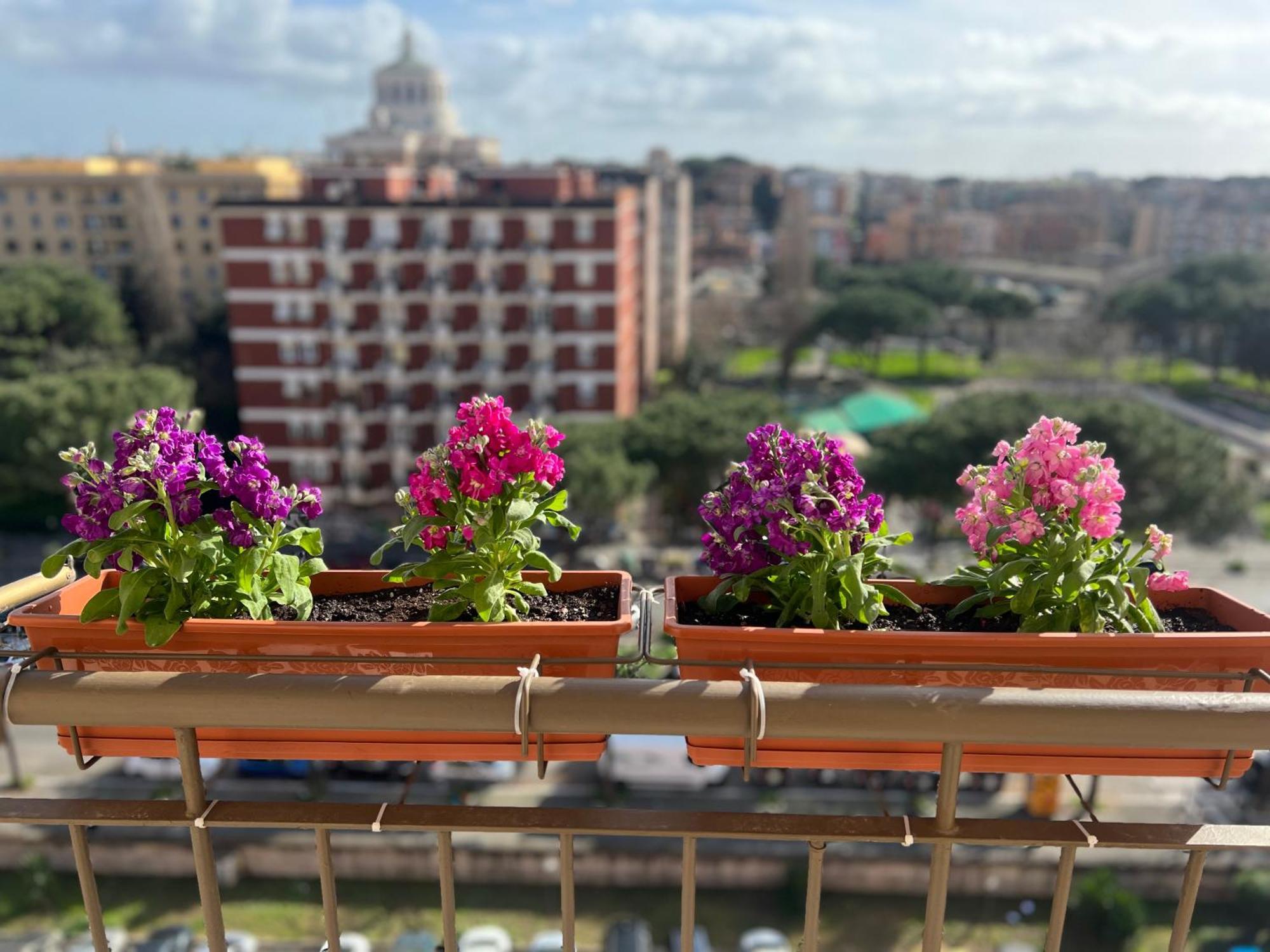 Sun House San Paolo Rome