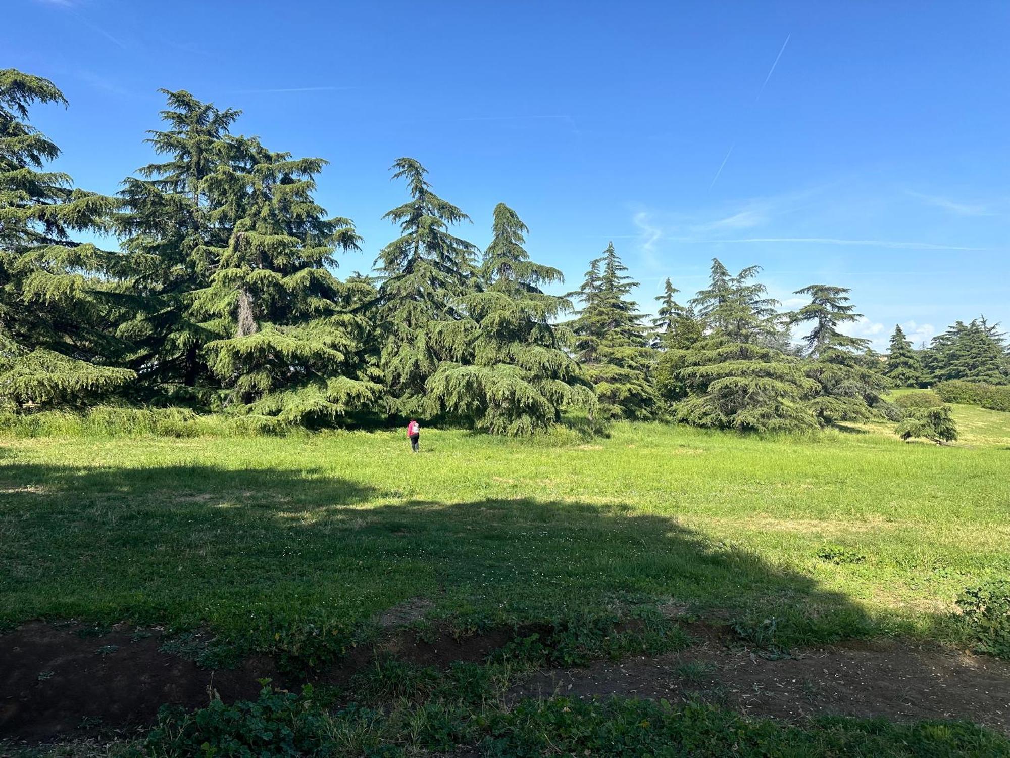 Olimpia Pamphili - Centro Storico Di - Gianicolo Trastevere San Pietro