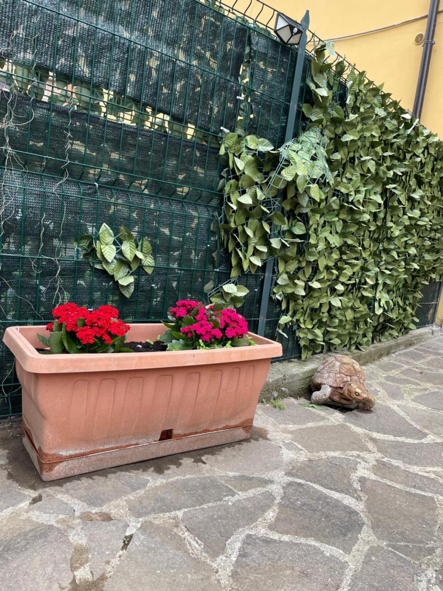 Appiolatino - Il Fenicottero * Rome