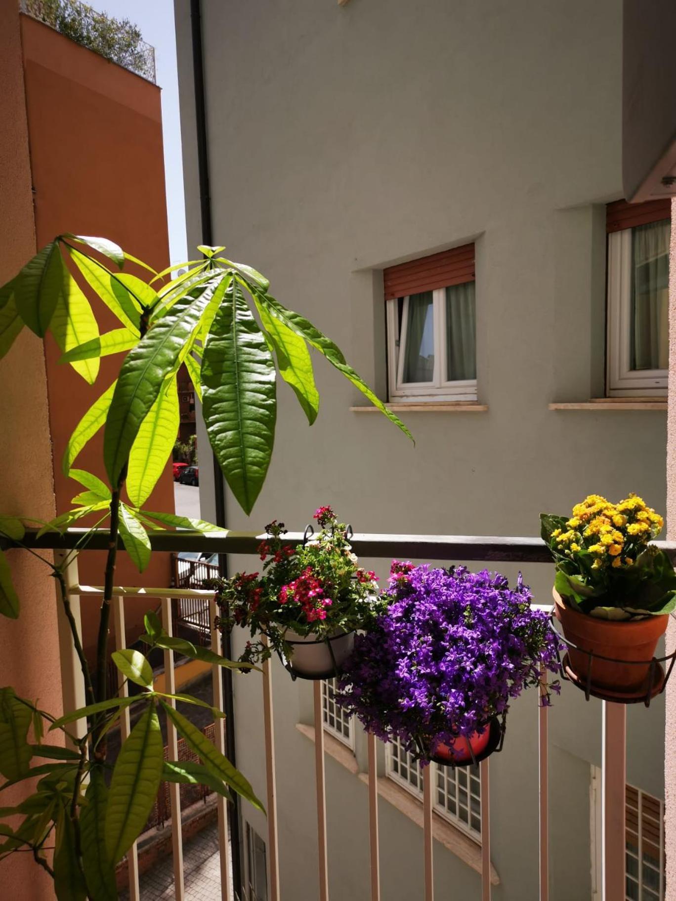 Apuleio 11 Apartment