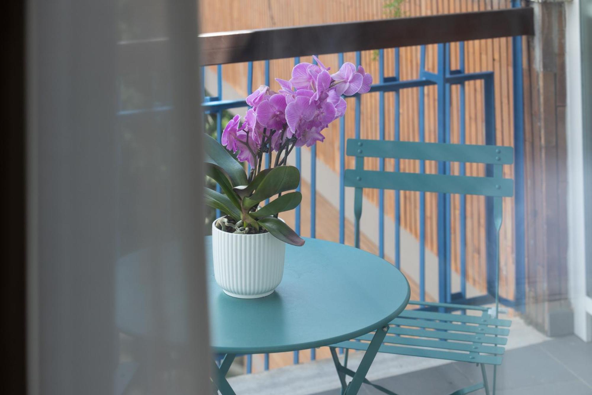 Guest house Zaccardi Roof Garden