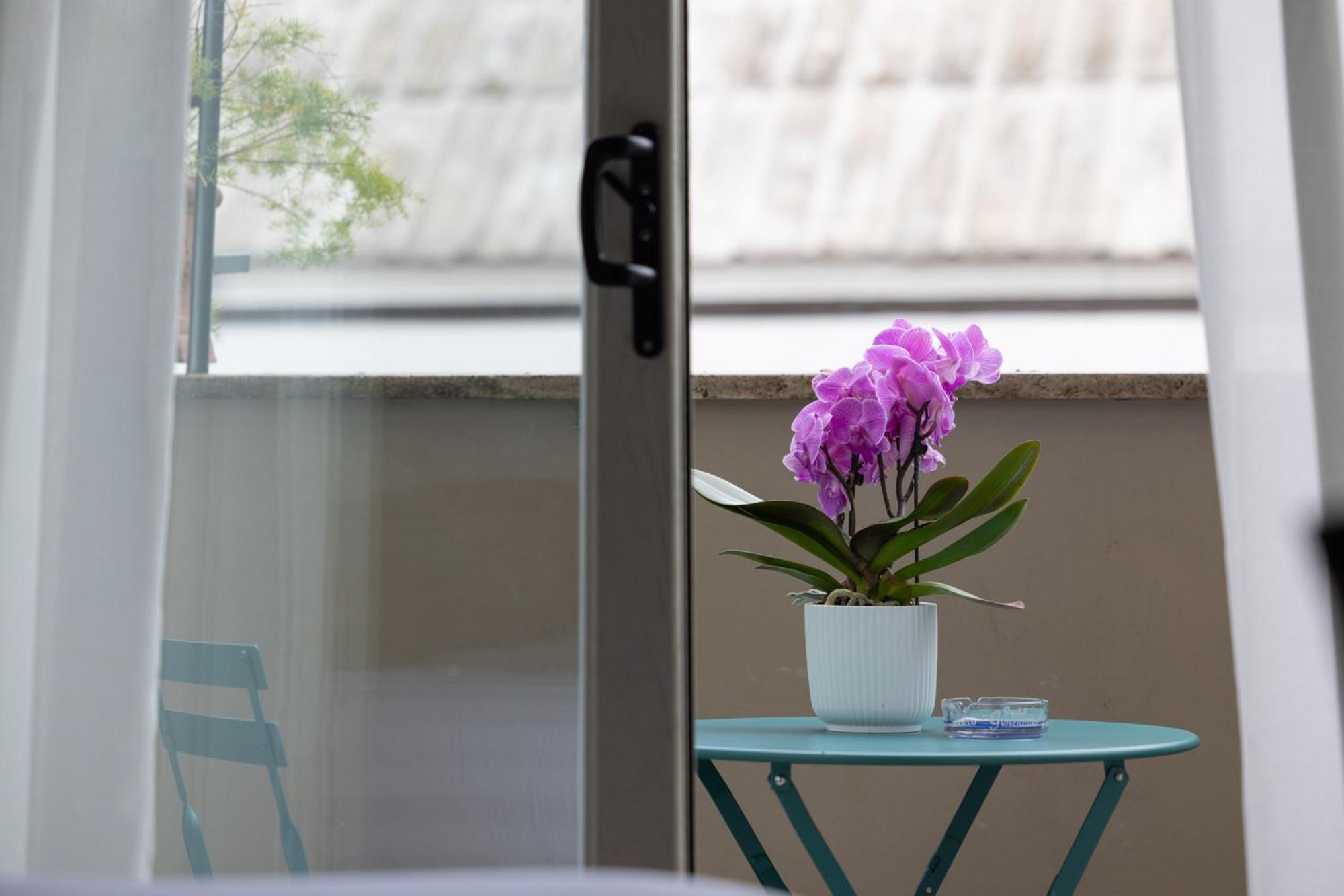 Zaccardi Roof Garden