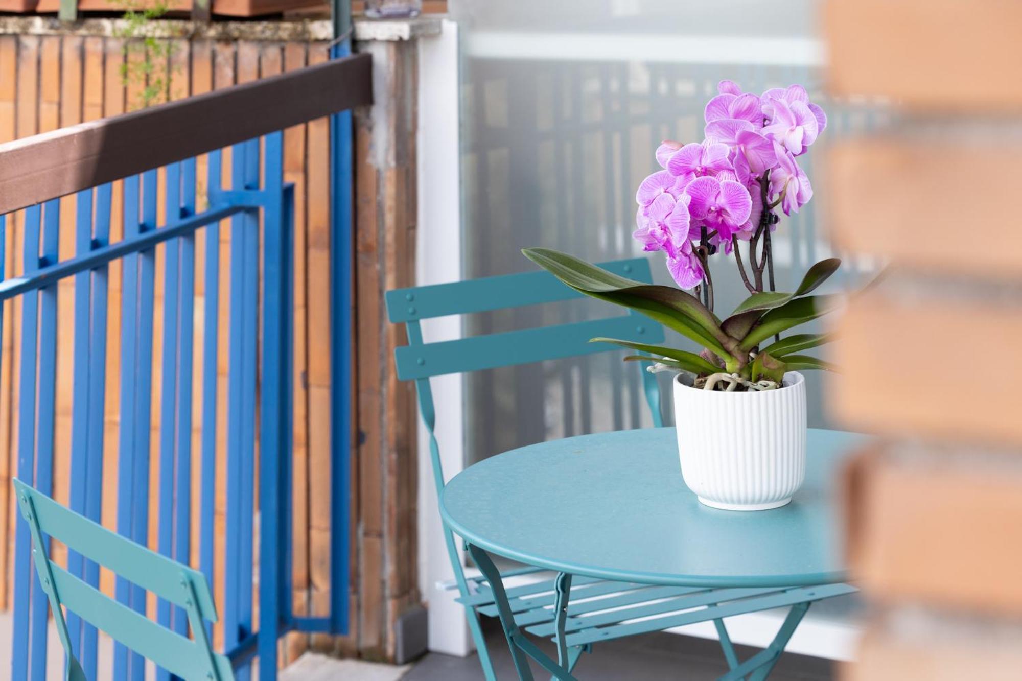 Guest house Zaccardi Roof Garden *