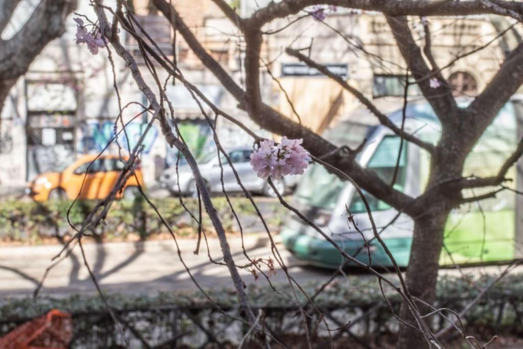 Esclusivo A Trastevere Con Terrazzo Rome