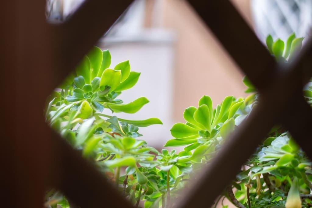 Esclusivo A Trastevere Con Terrazzo Rome