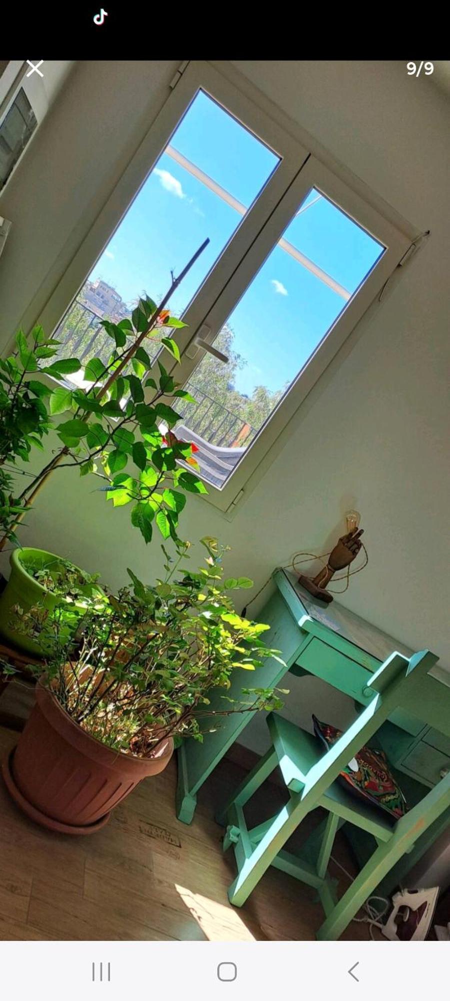 Séjour chez l'habitant Stanza In Superattico, Terrazzato, Luminoso, Accogliente, Bagno Privato *