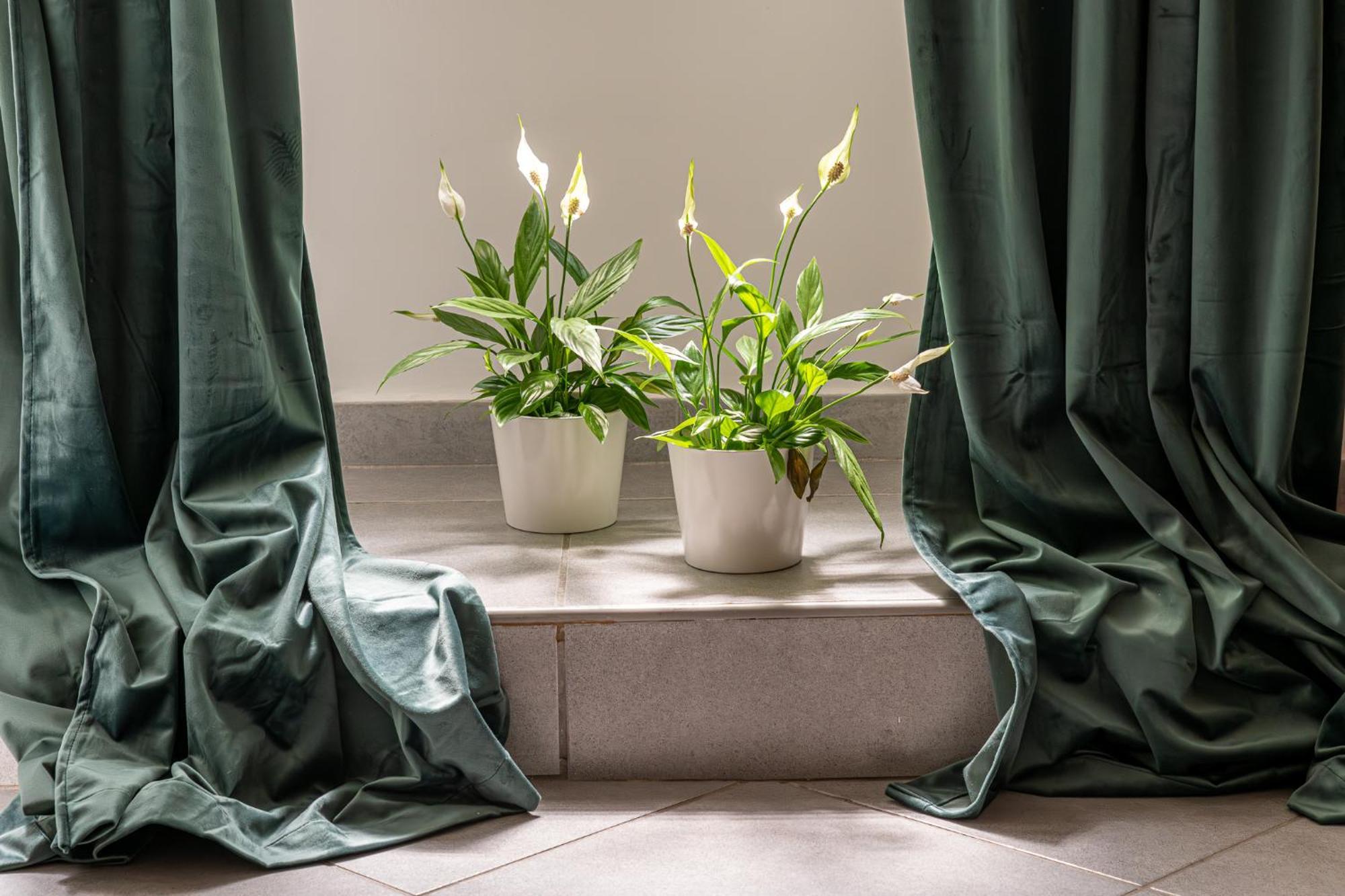 Apartamento Belle Arti