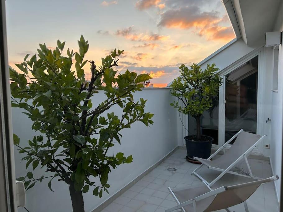 Luxury Rooftop Appia Antica * Roma