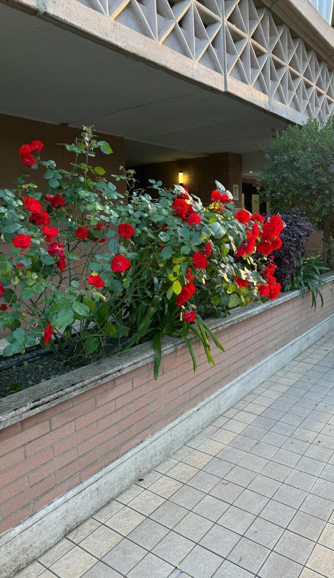 Flaminia Appartamento