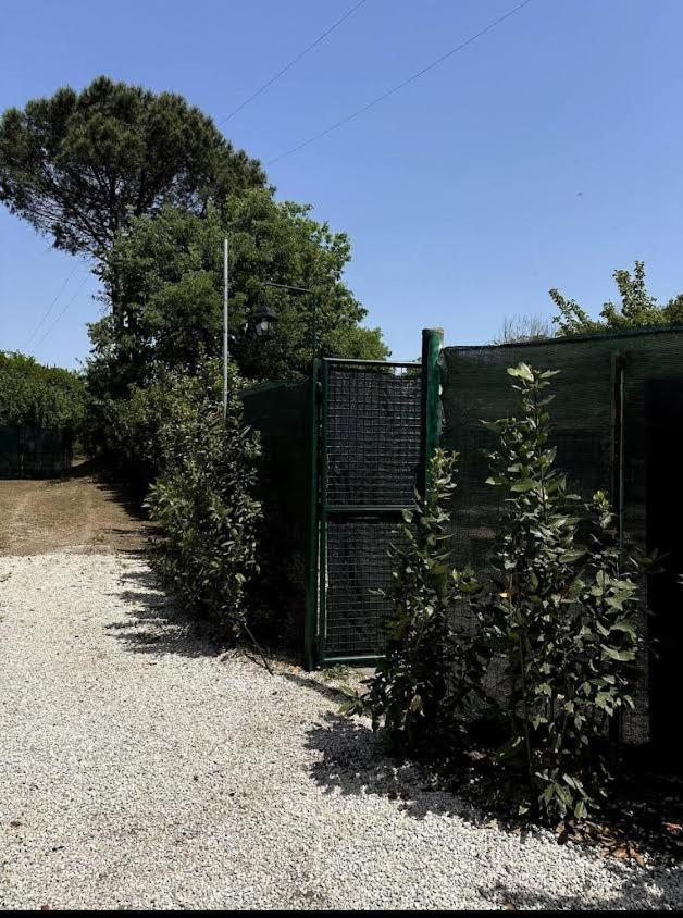 Holiday home Appia Antica Country House Giardino Parcheggio Fermata Bus 4 Ospiti *