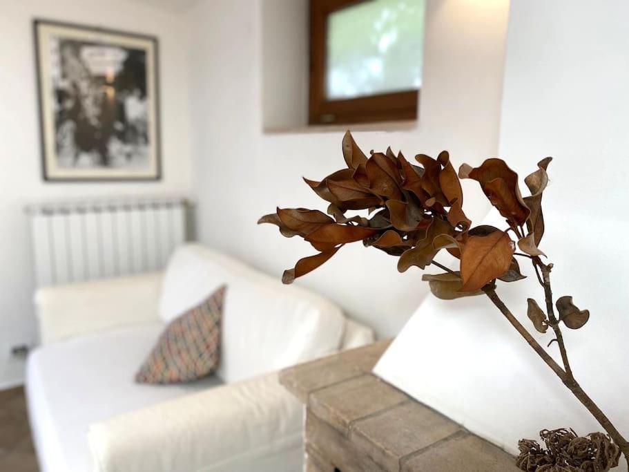 Casetta Indipendente Con Cortile E Parcheggio Appartement