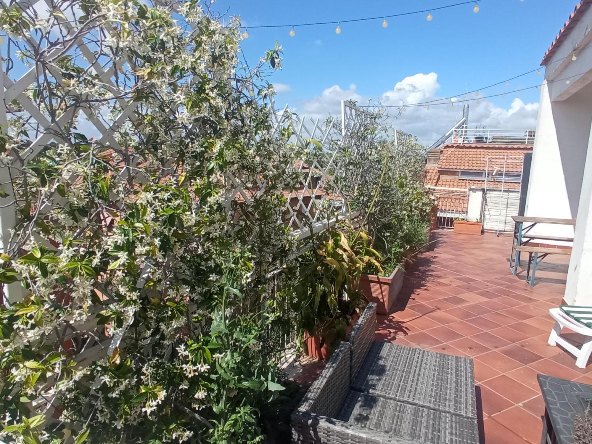 Rooftop Appia Antica,silenzioso Riservato Two Bedrooms Two Bathrooms Appartamento