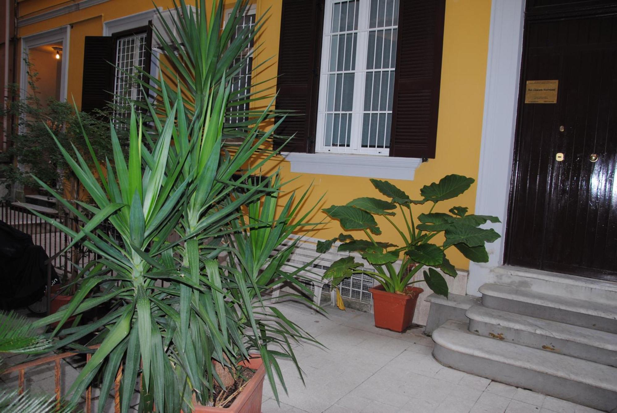 Guest house White Vatican 2*
