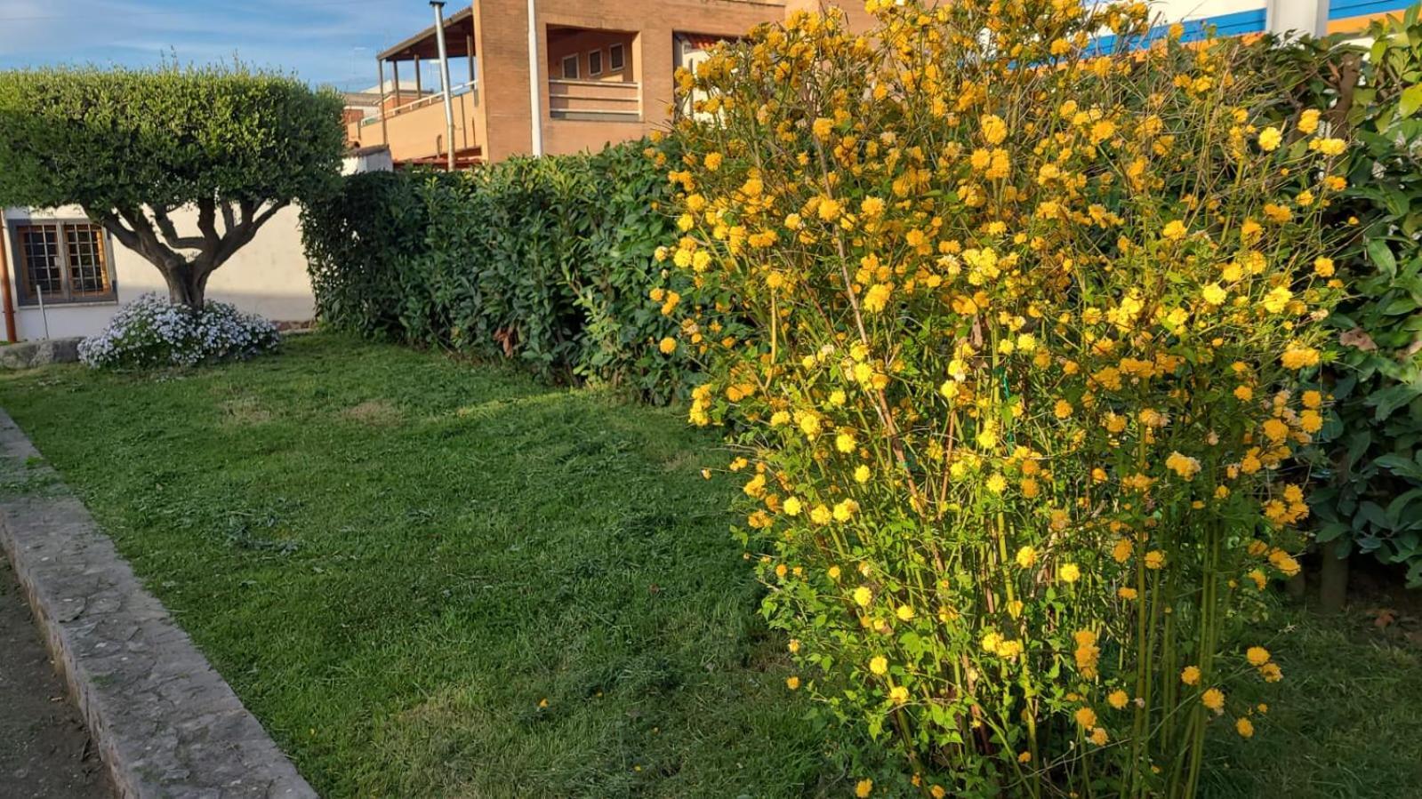 Casa vacanze Casetta Delle Fiabe Roma