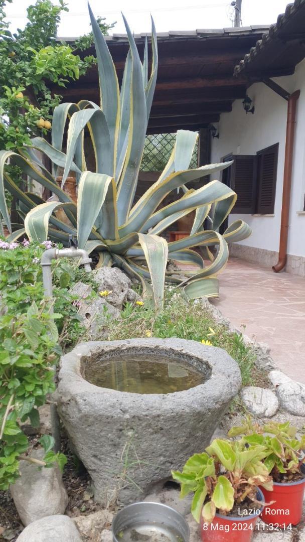 Casetta Delle Fiabe Casa vacanze *