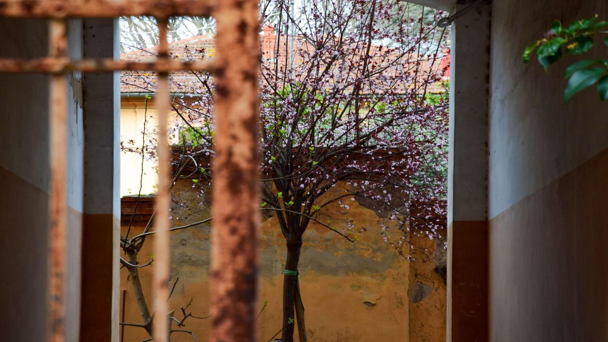 Saba Appartement *