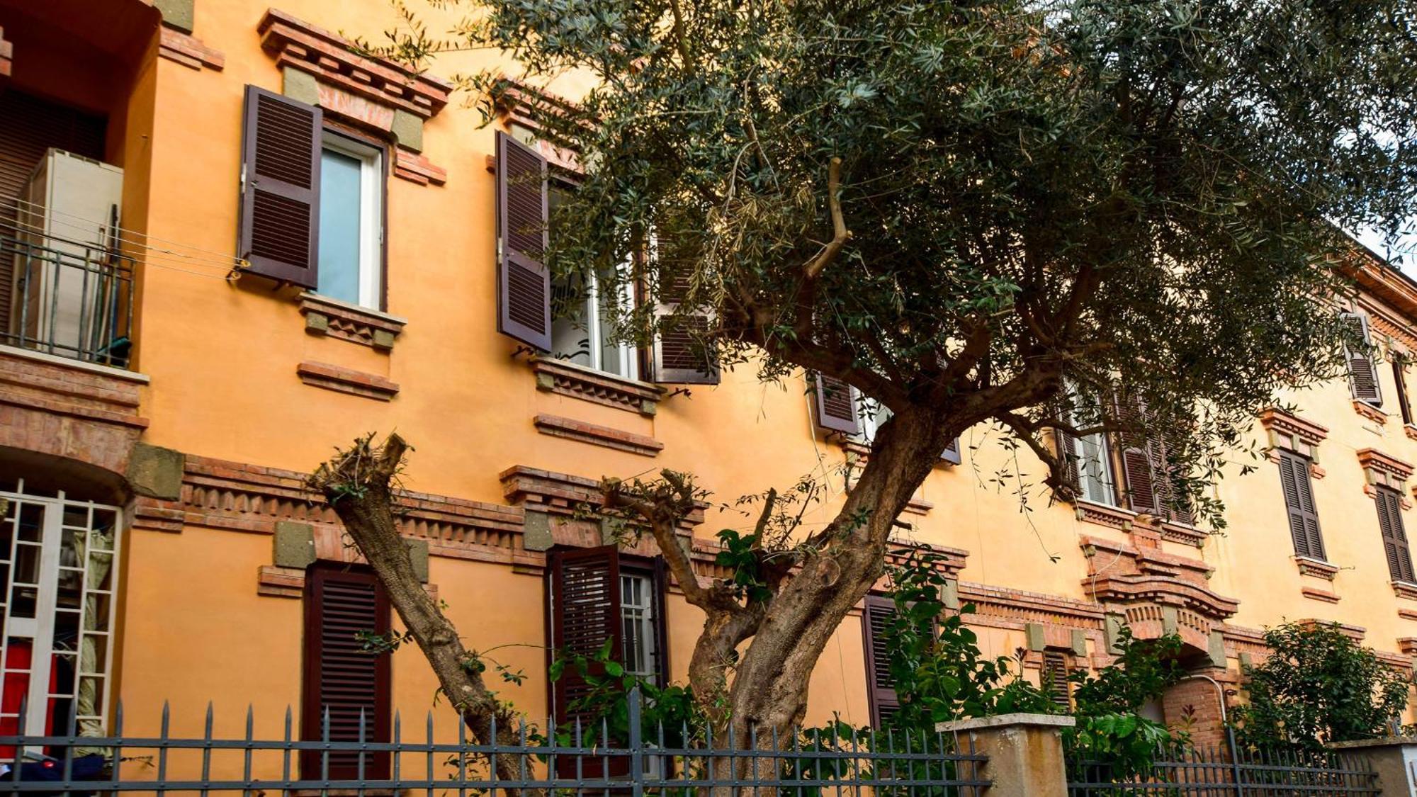 Appartement Saba *