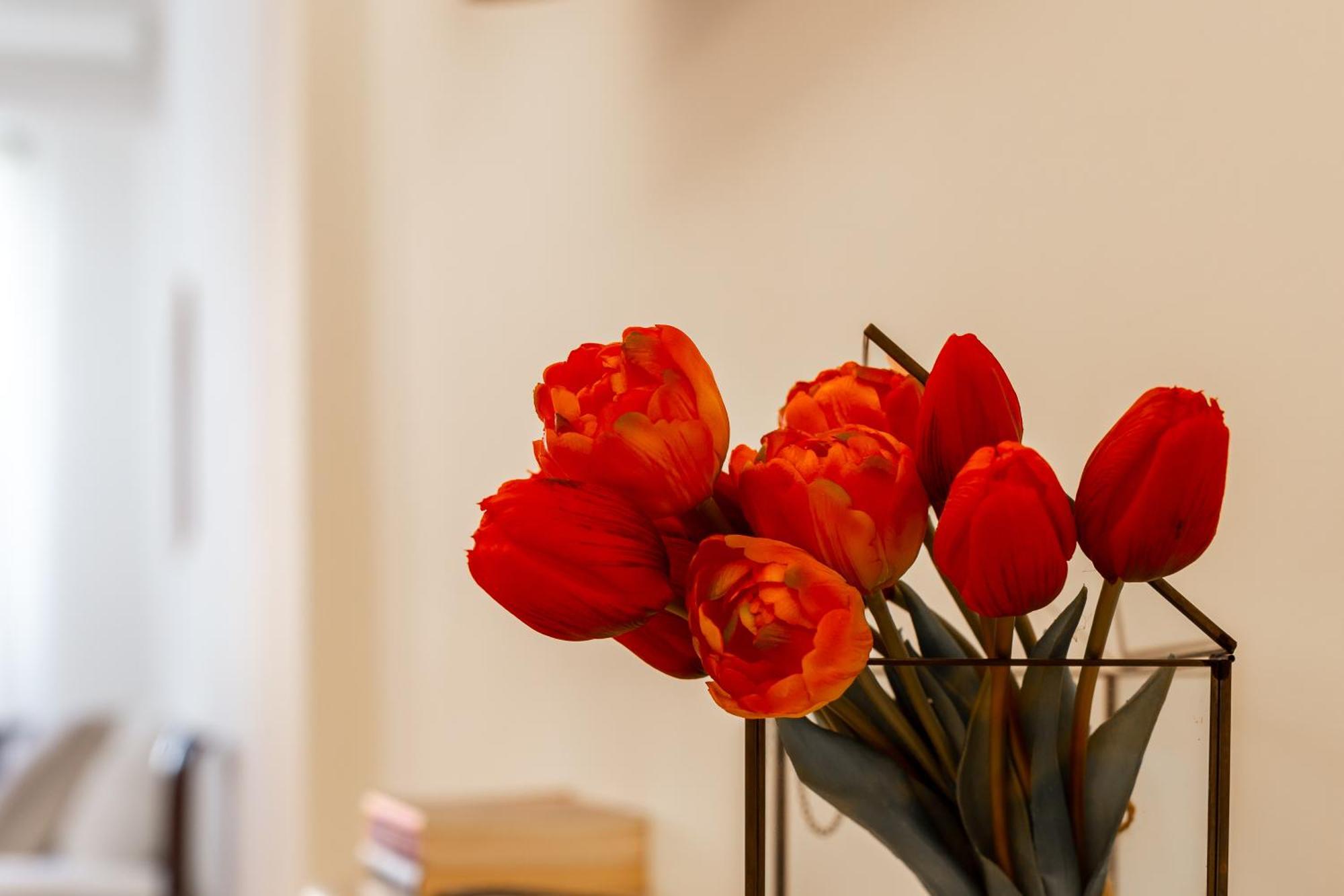 Apartment Iflat Spanish Steps Peaceful *
