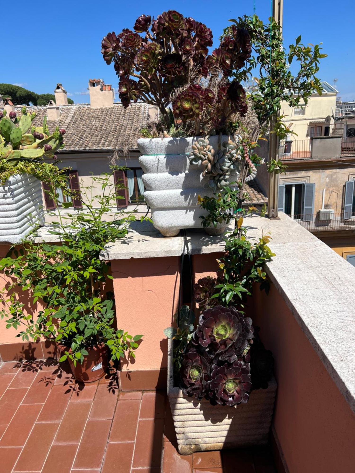 Spanish Steps View Apartment