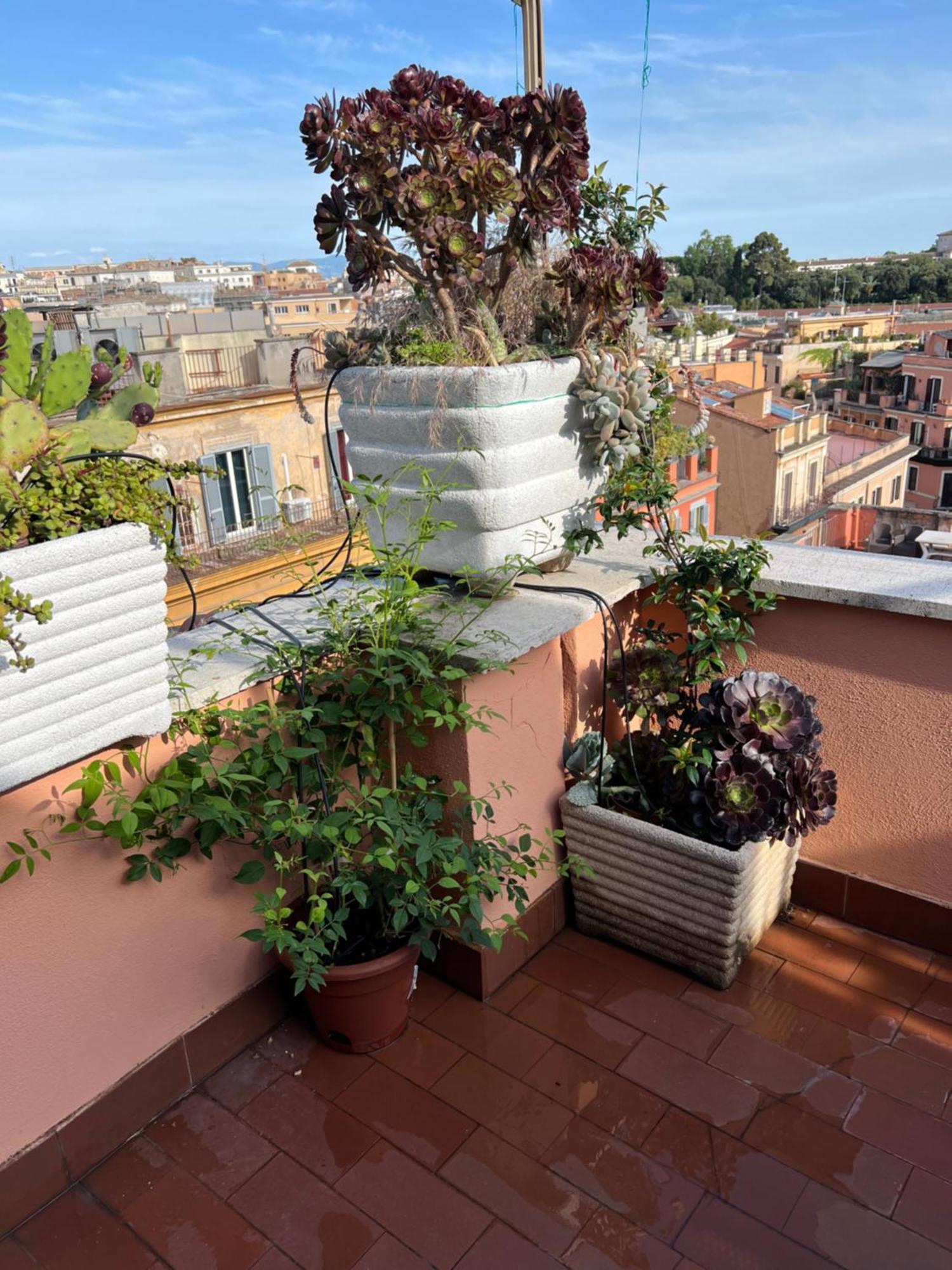 Apartment Spanish Steps View *