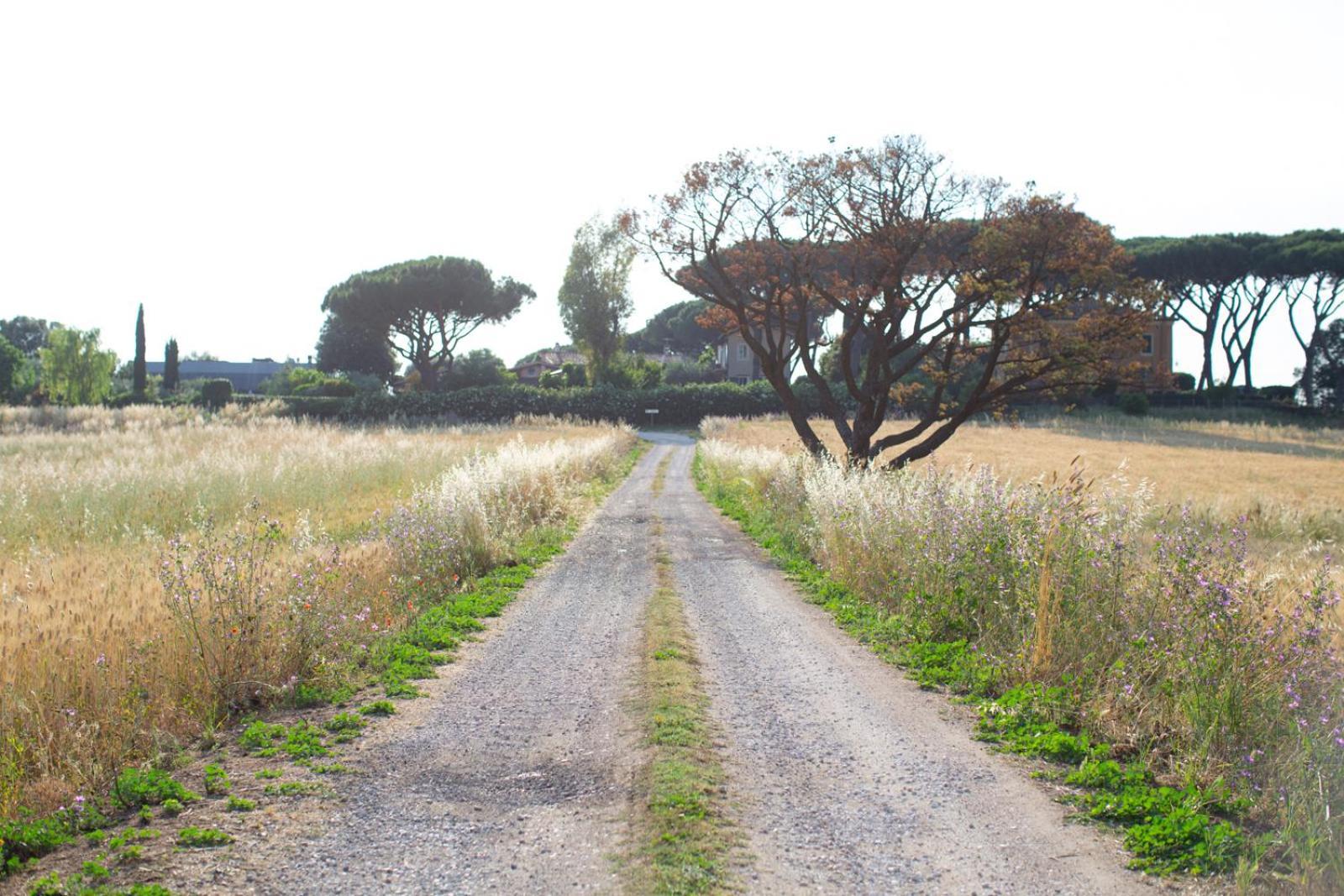 Appart hôtel Tenuta Capizucchi