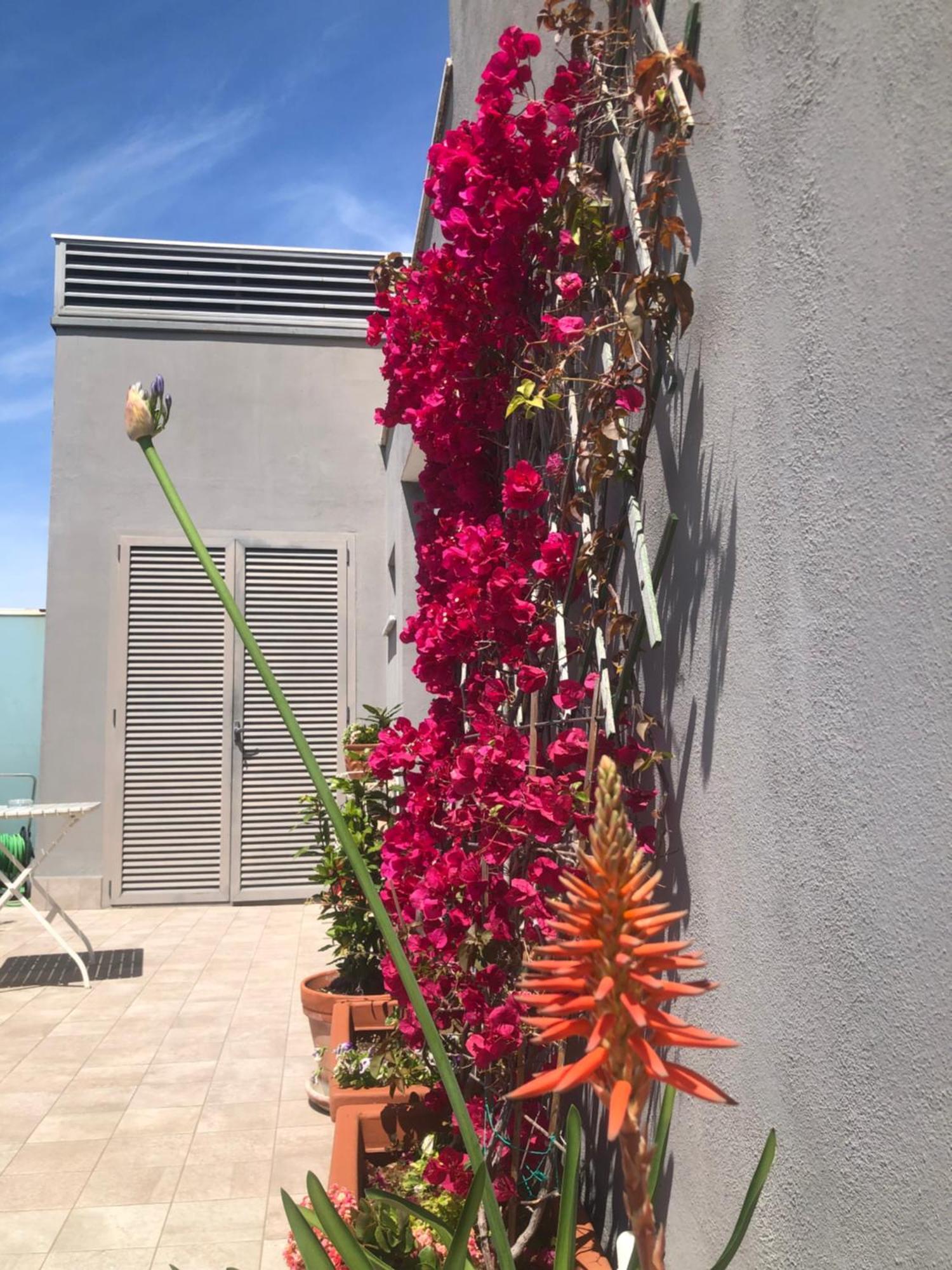 Homestay La Dolce Dimora Degli Angeli Rome