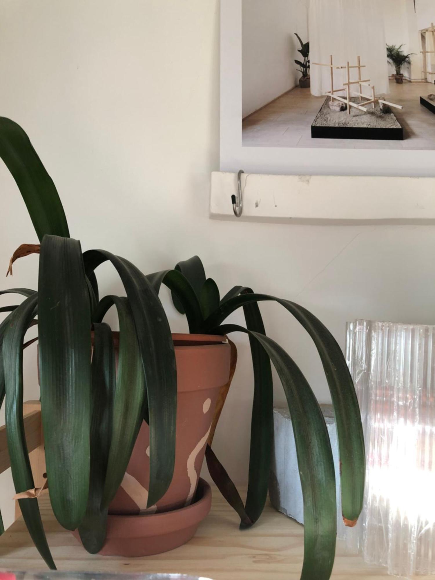 Ozio Appartement *