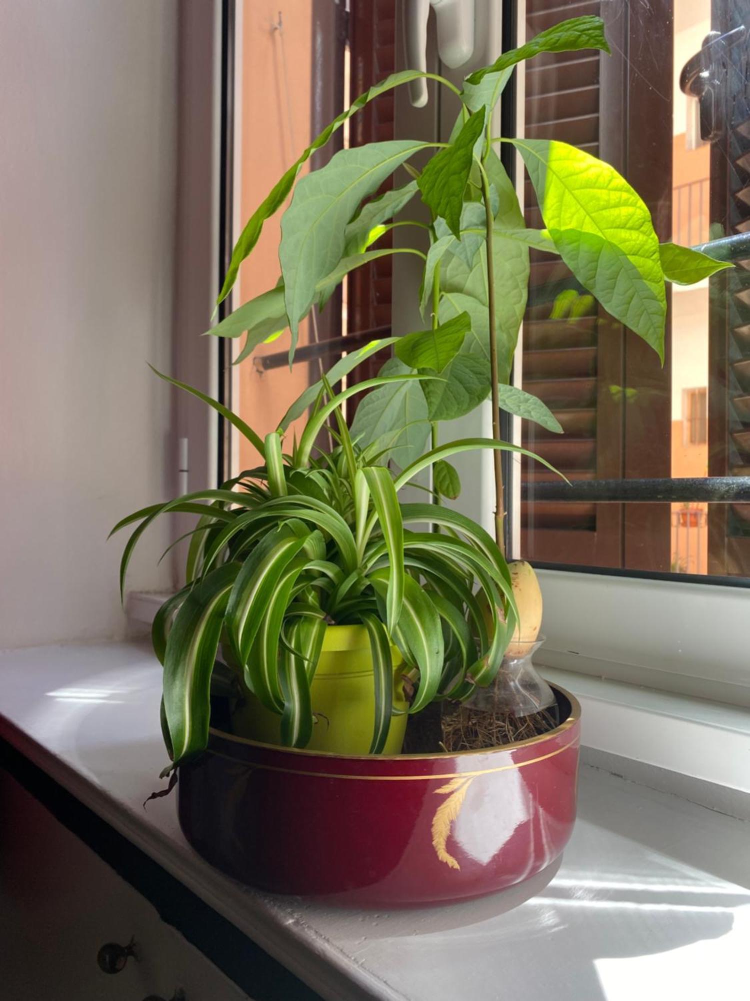 Porta Labicana House -10 Minutes From Termini Station Rome