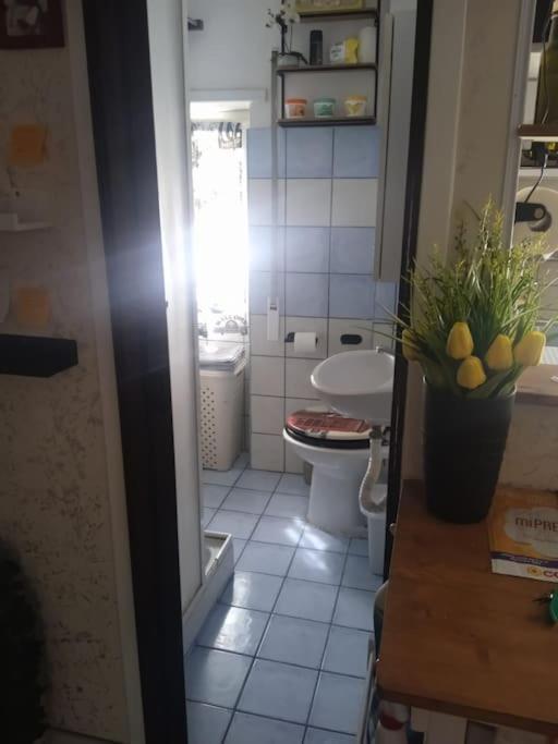Il Piccolo Loft