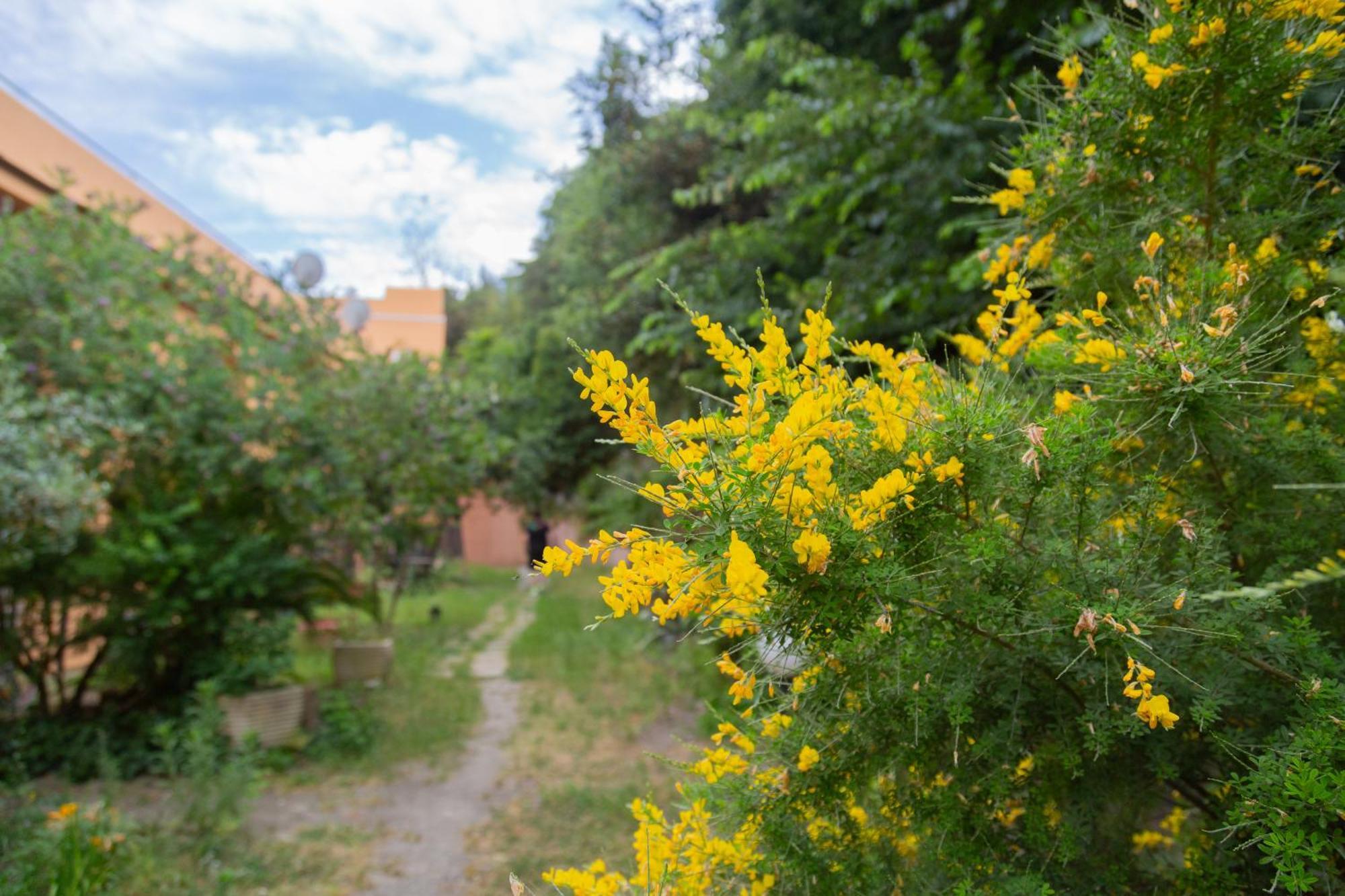 Apartamento La Casa Di Nonna Peppina A Trastevere