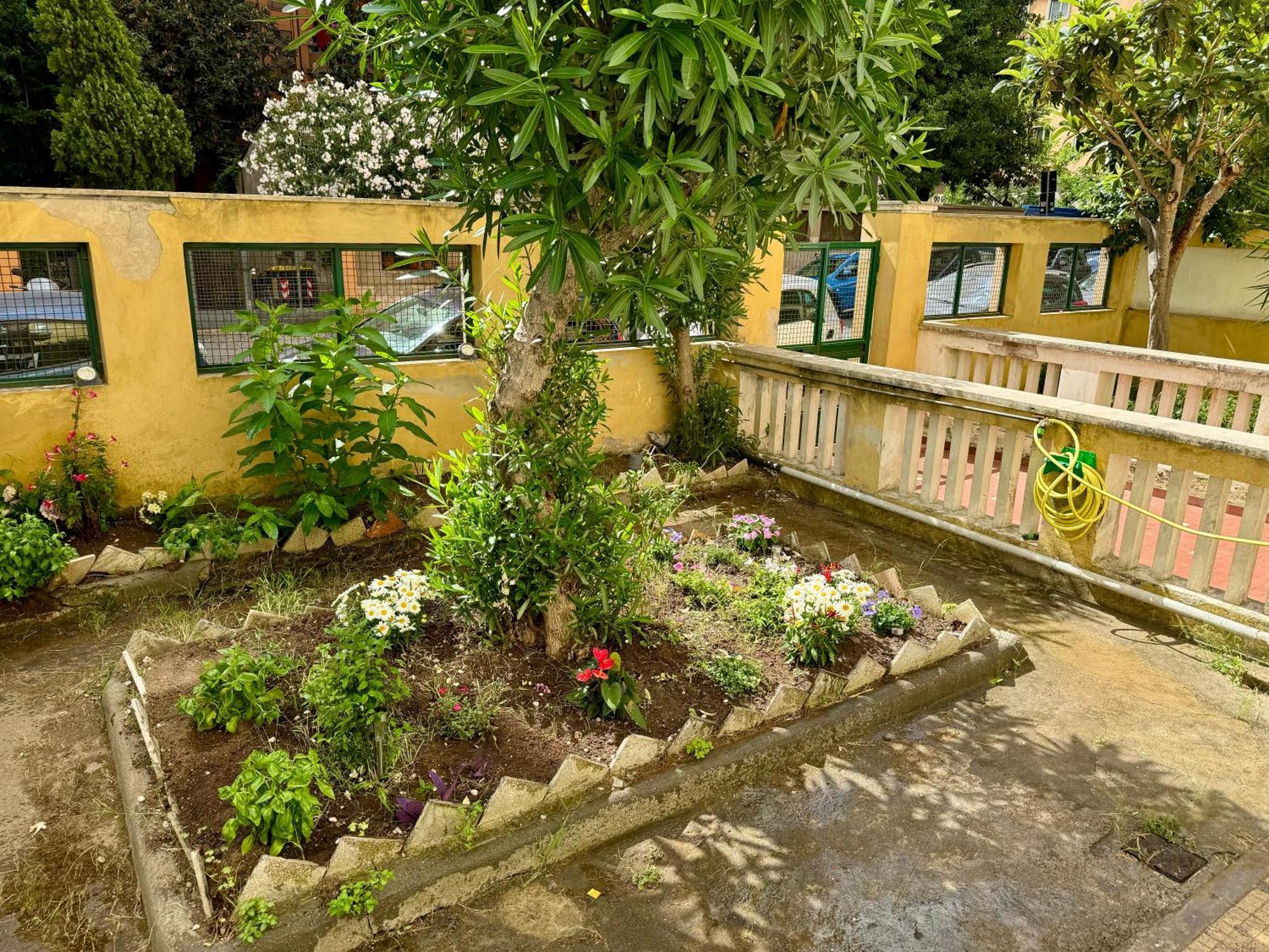 Apartment La Casa Di Mamma