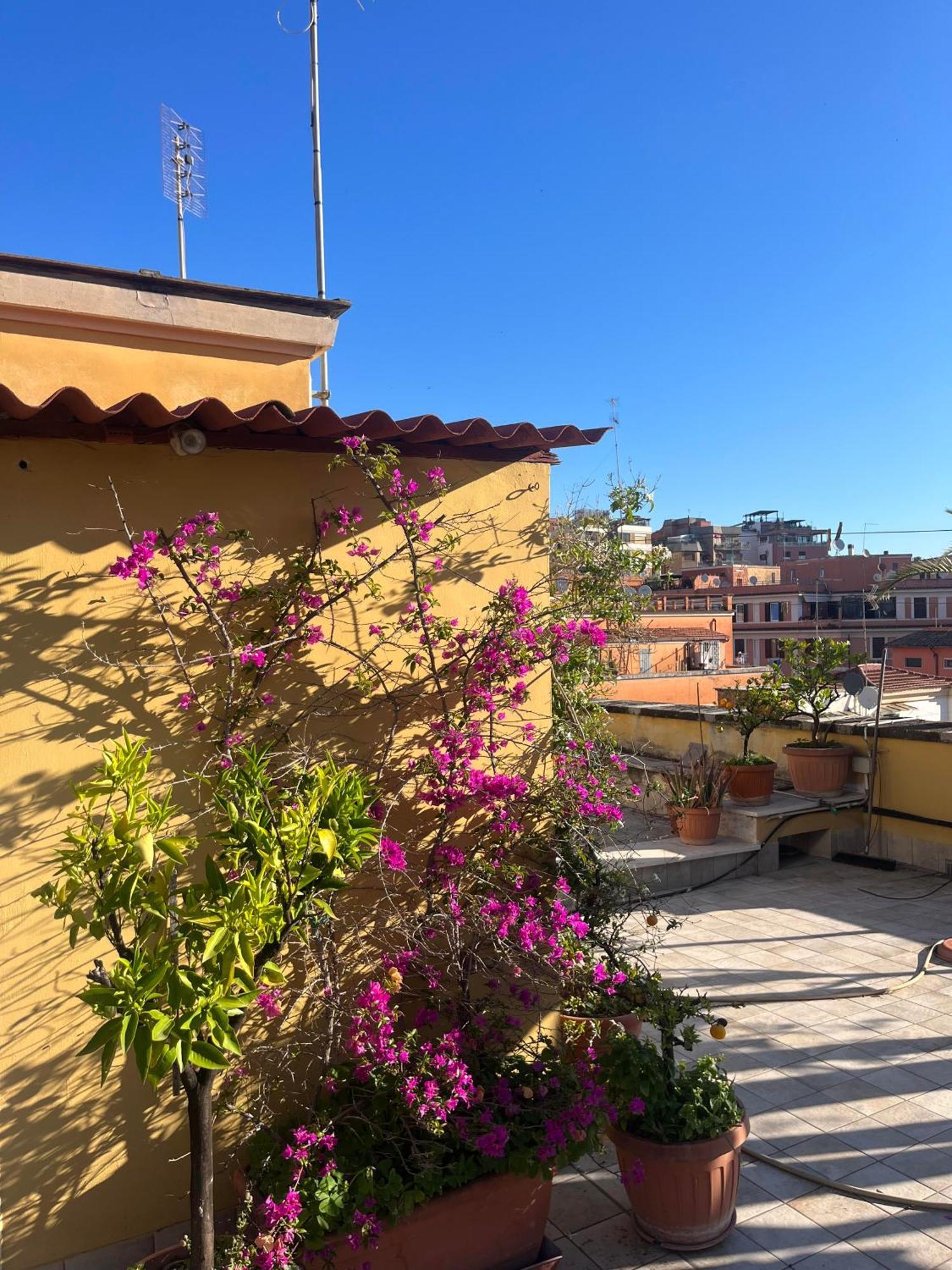 Appartamento Cozy Monteverde Vecchio Trastevere Roma