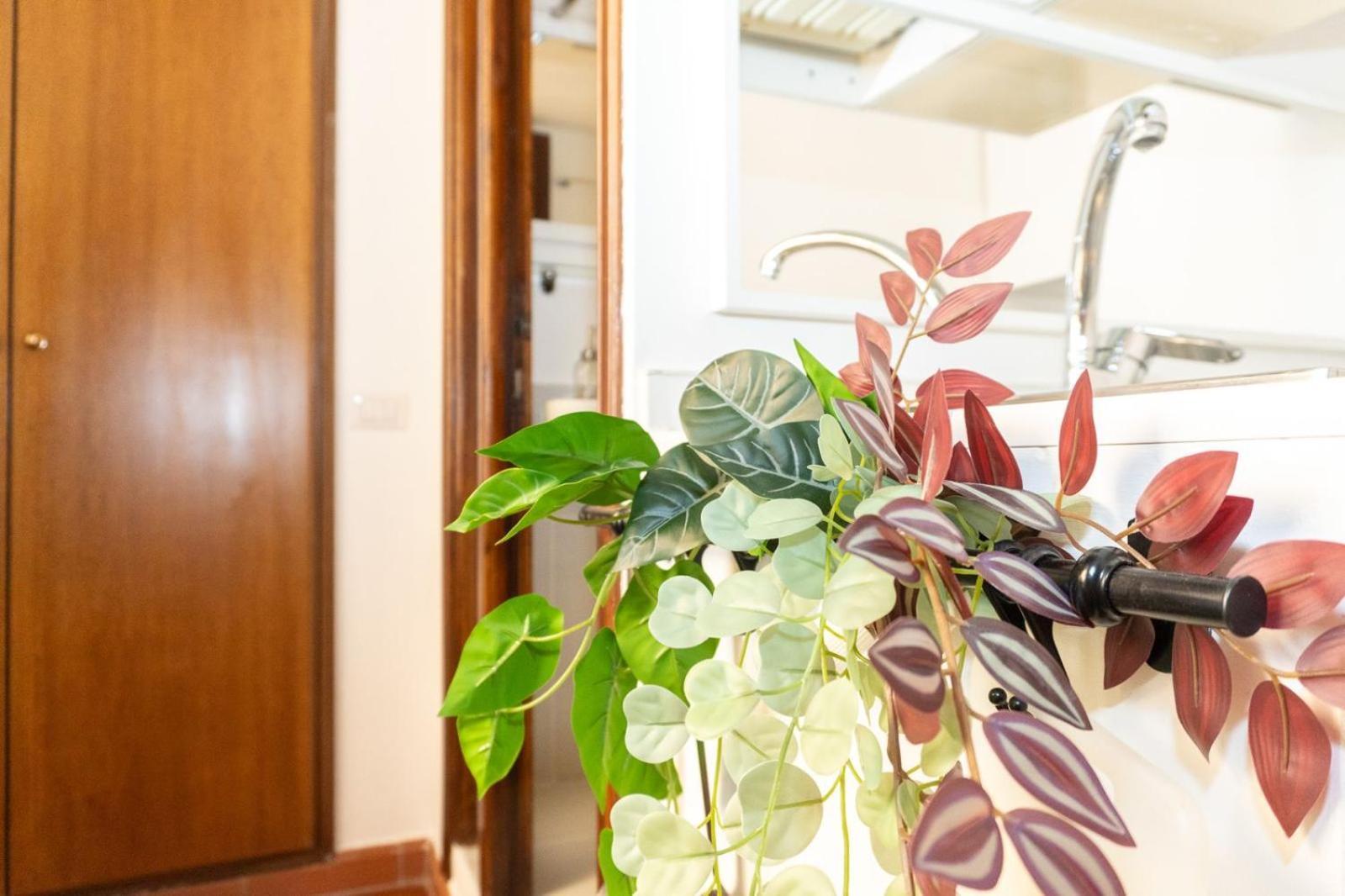 Antuela Pantheon Appartement
