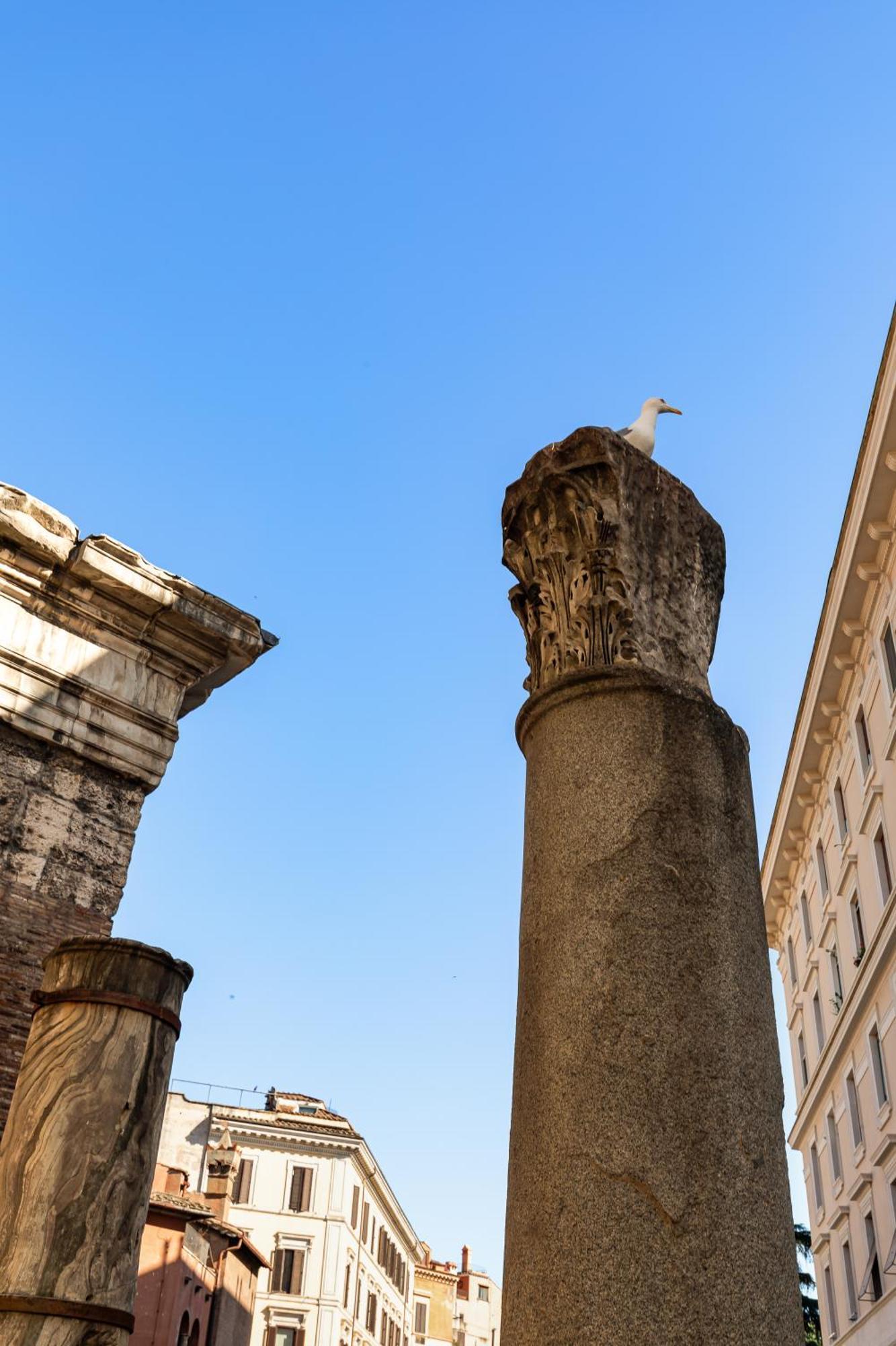 Campitelli 9 - Loft In Ancient * Rome