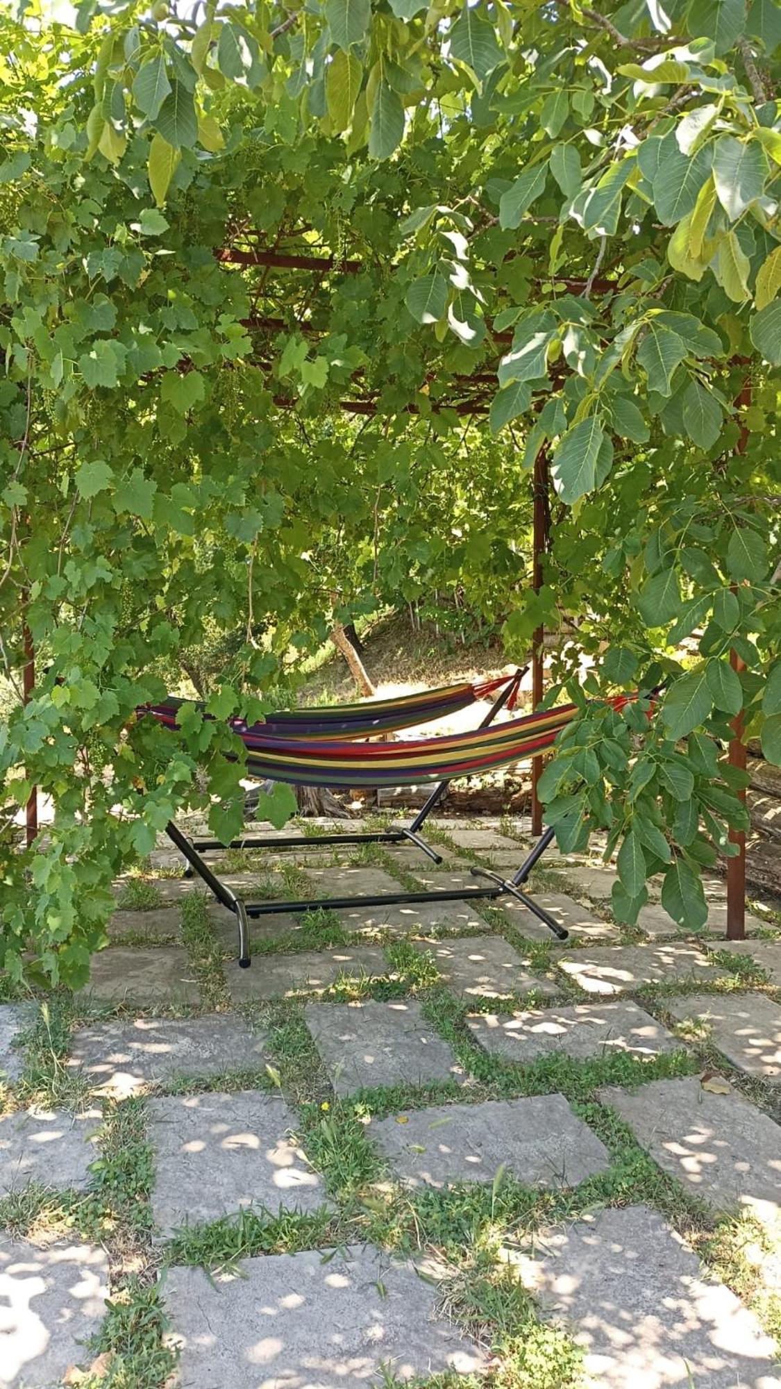 Bed & Breakfast Lavanda E Rosmarino