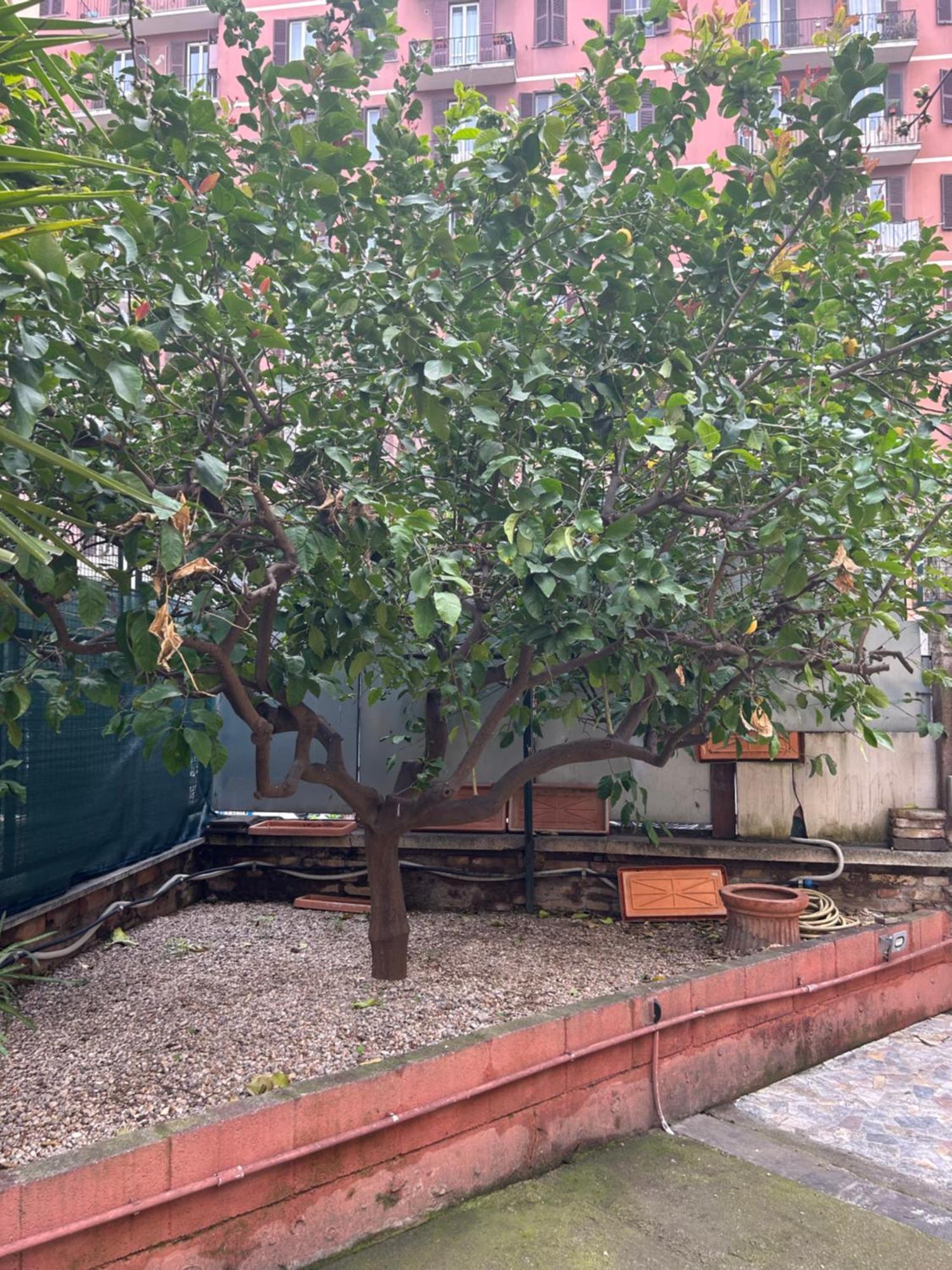 Morgana Holiday home Rome