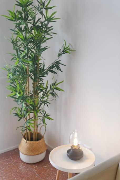 Apartment Domus Piramide Rome