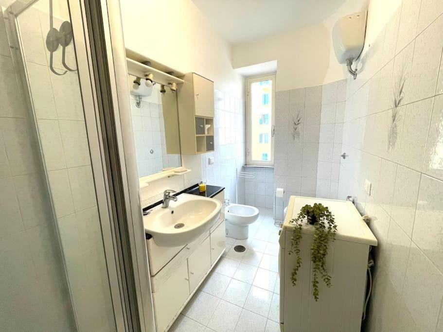 Apartment Domus Piramide Rome