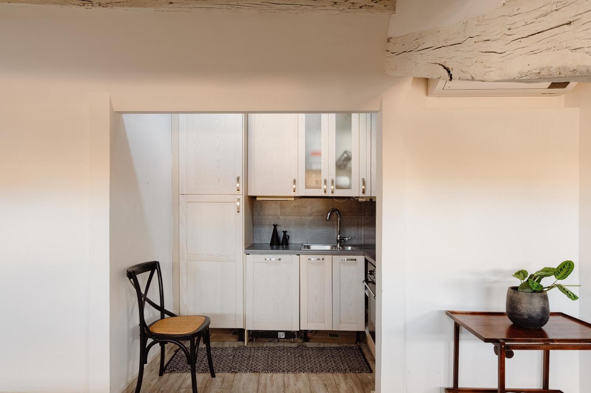 Amazing Penthouse With Terrace And Rooftop In Trastevere Apartment