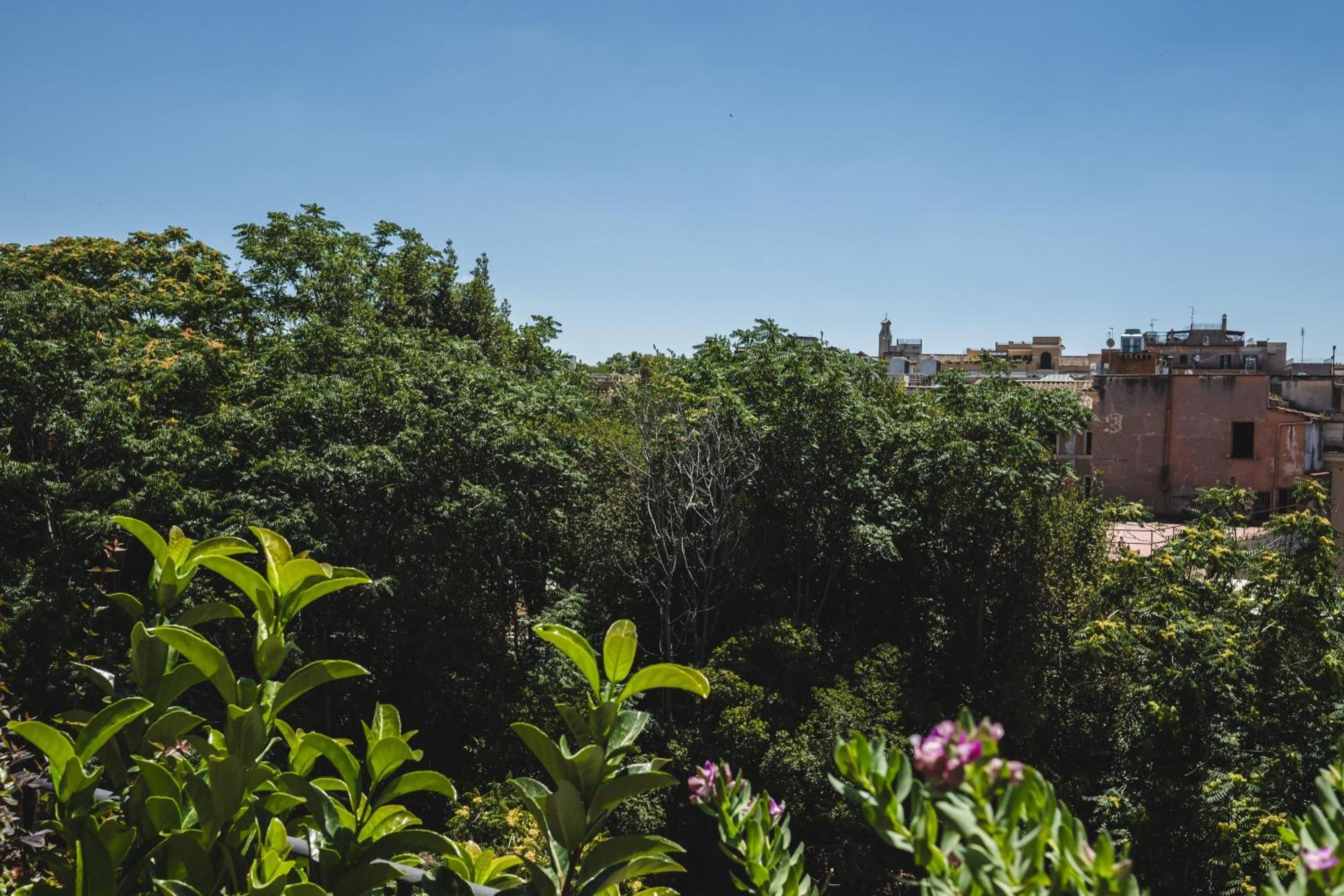 Apartment Valeria Terrace - Monti, *