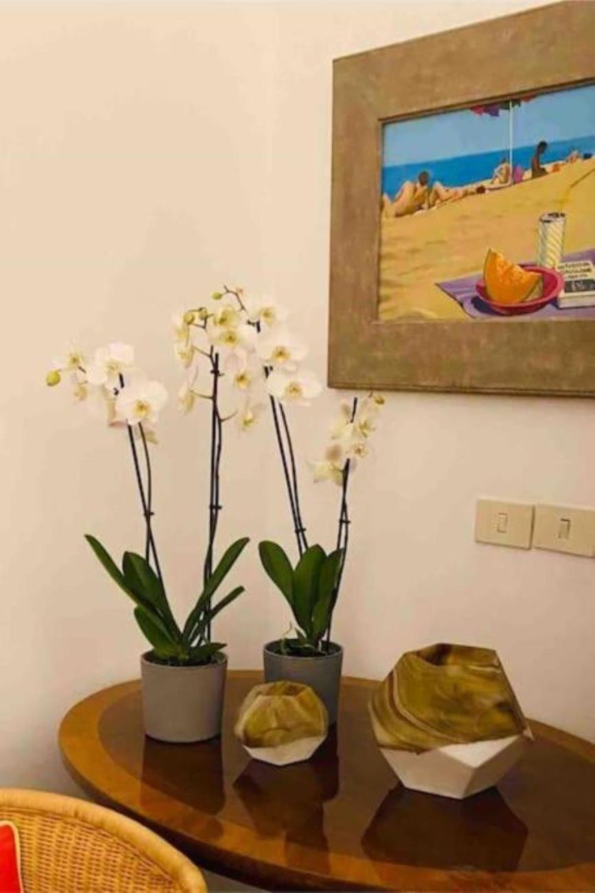 Apartment Loft Ingresso Independente Rome