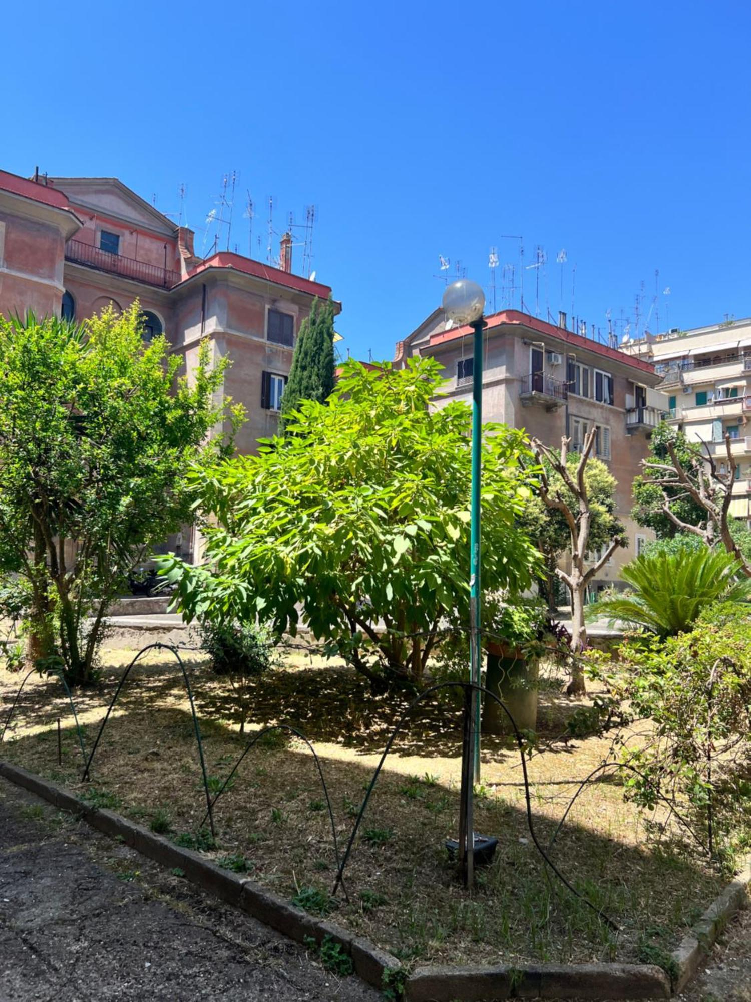 Home Rome *