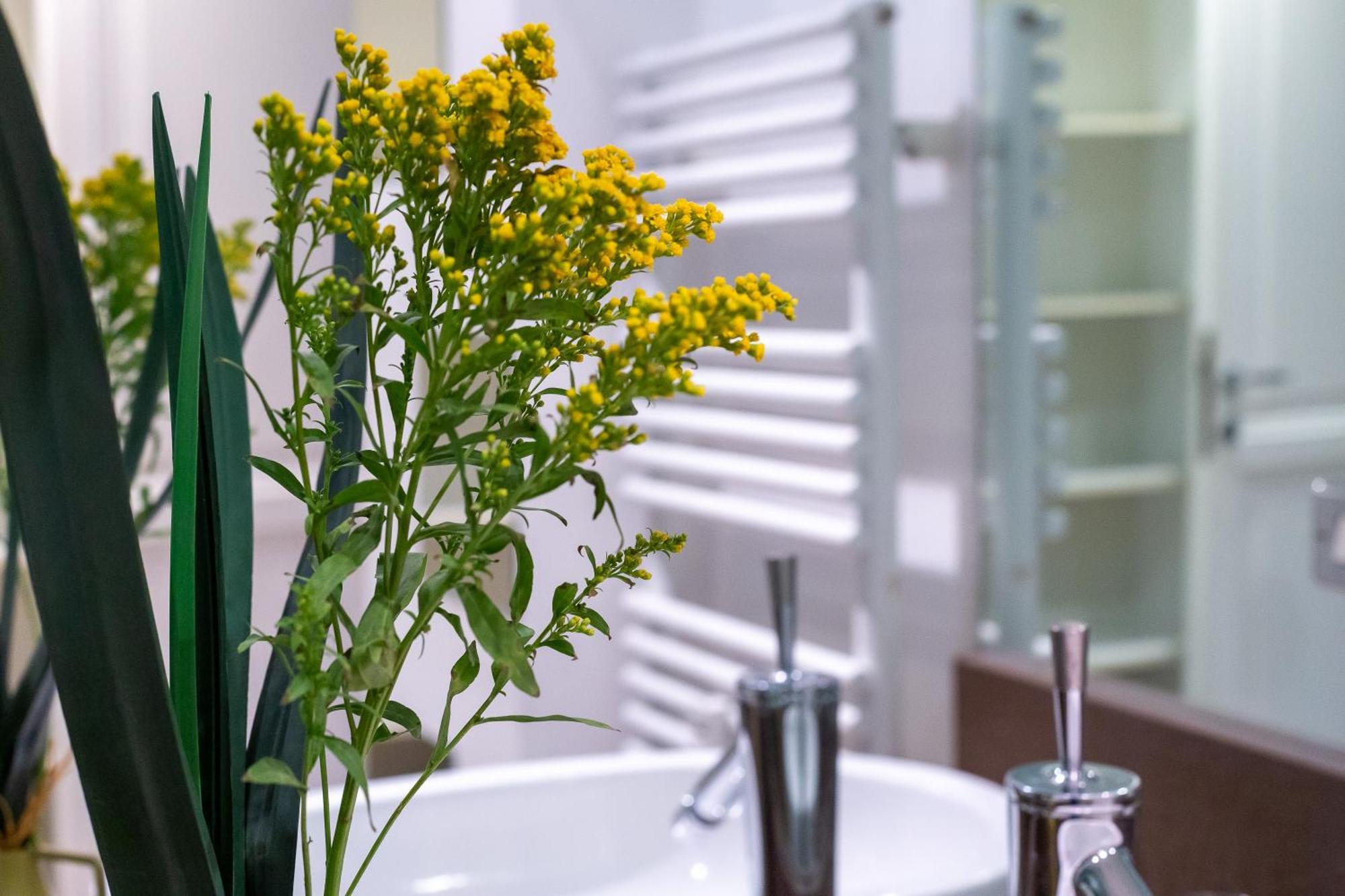 Appartement Iflat Lina Cavalieri House