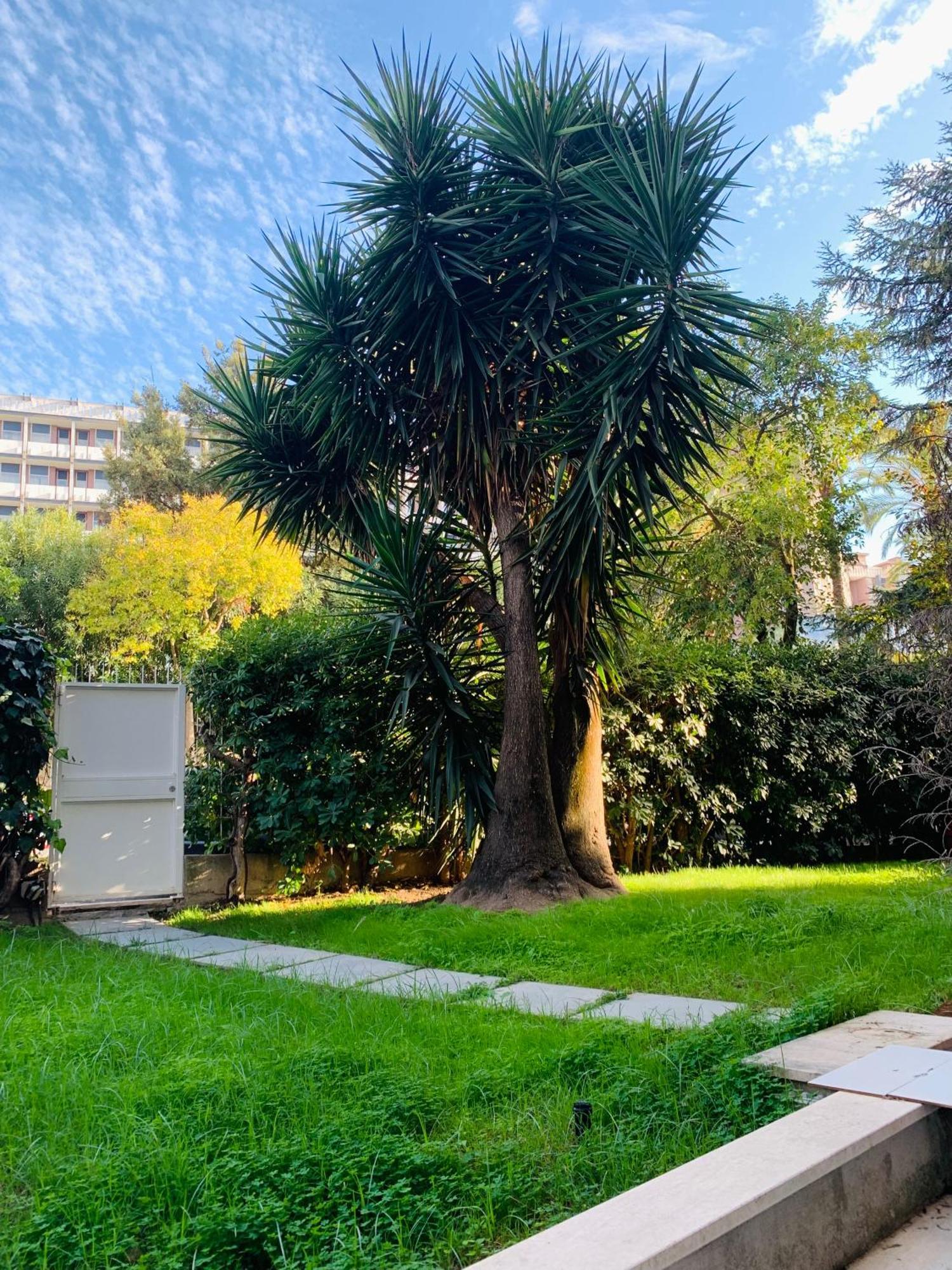 Casa Proto - Garden Guest house Rome