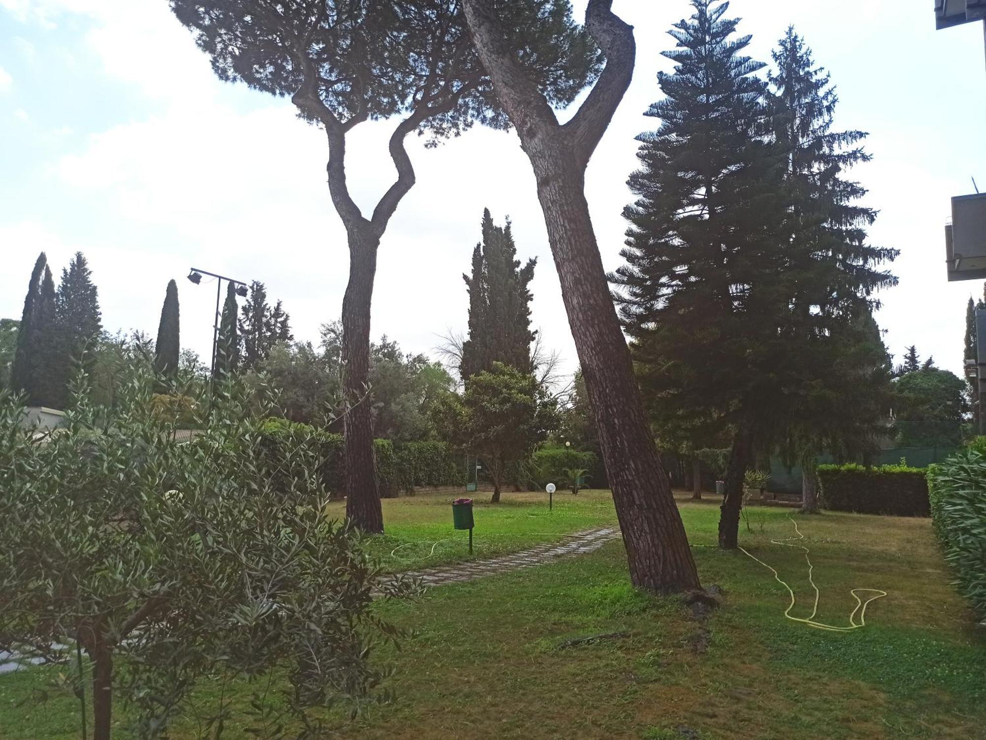 Aurelia Antica Terrace Free Pool And Parking