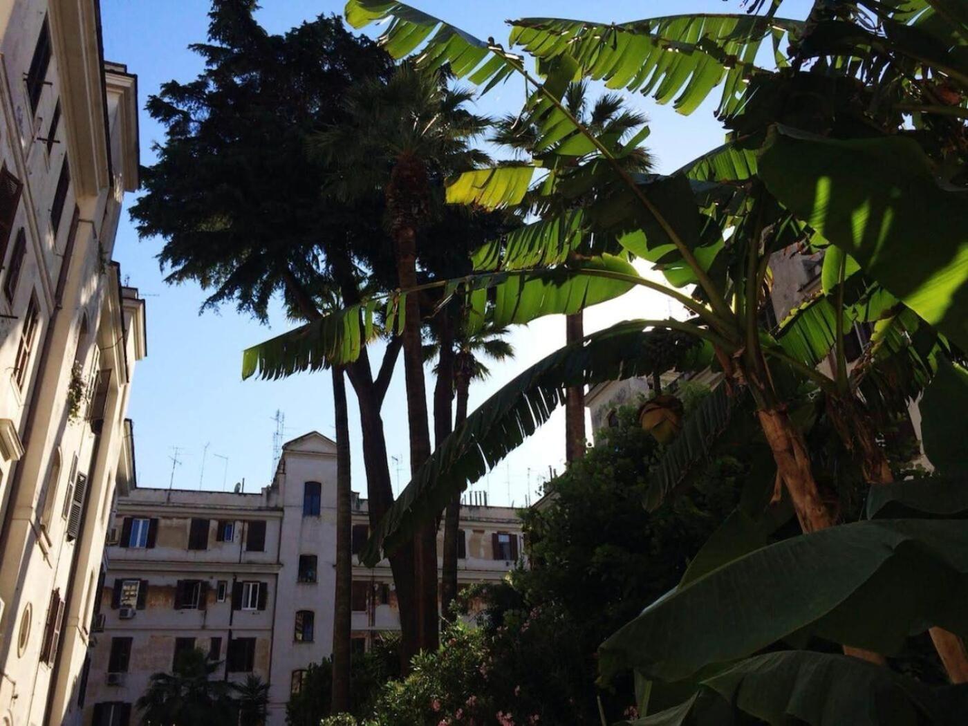 Il Cortile - Nel Cuore Di Testaccio