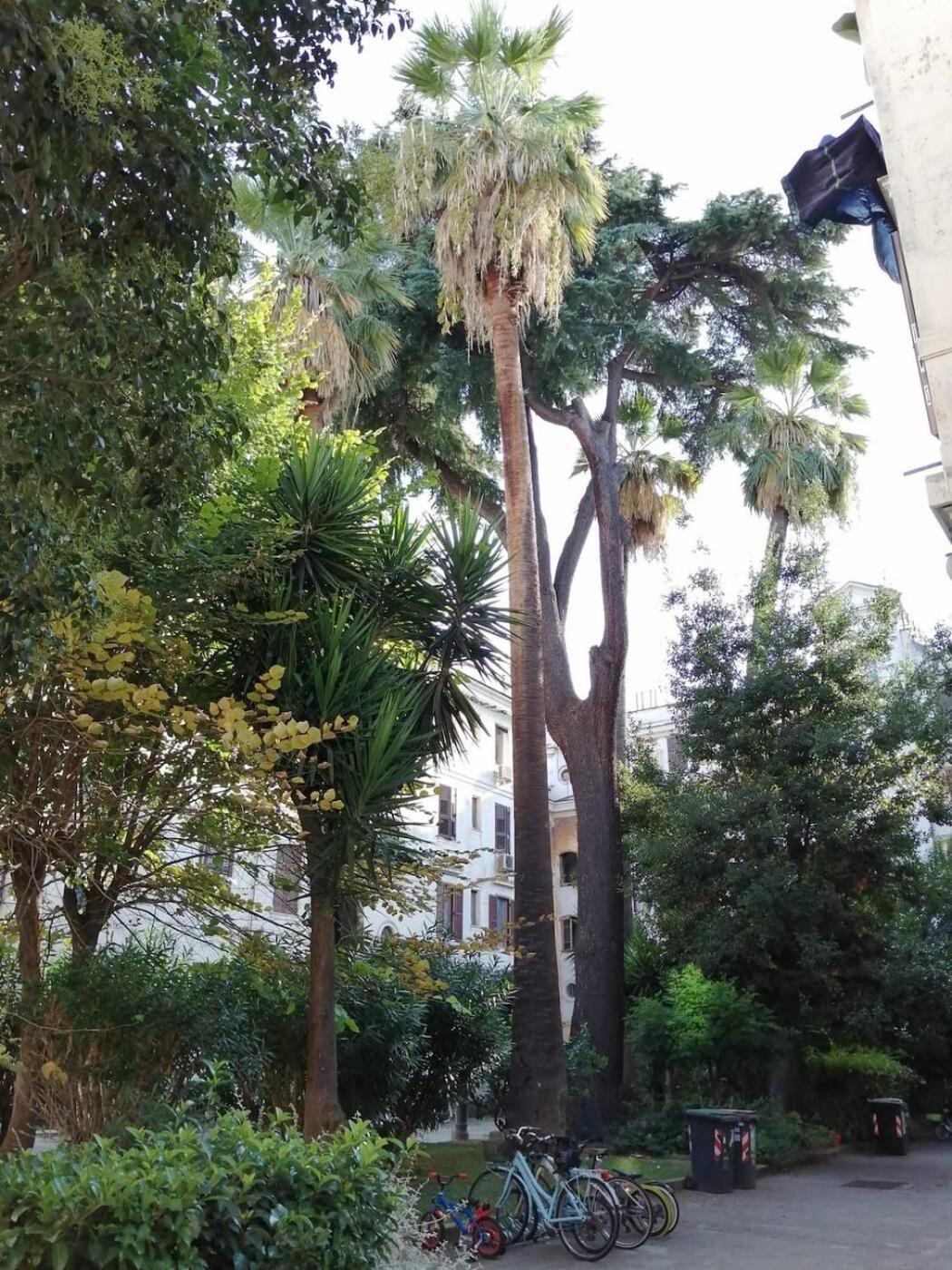 Il Cortile - Nel Cuore Di Testaccio * Rome