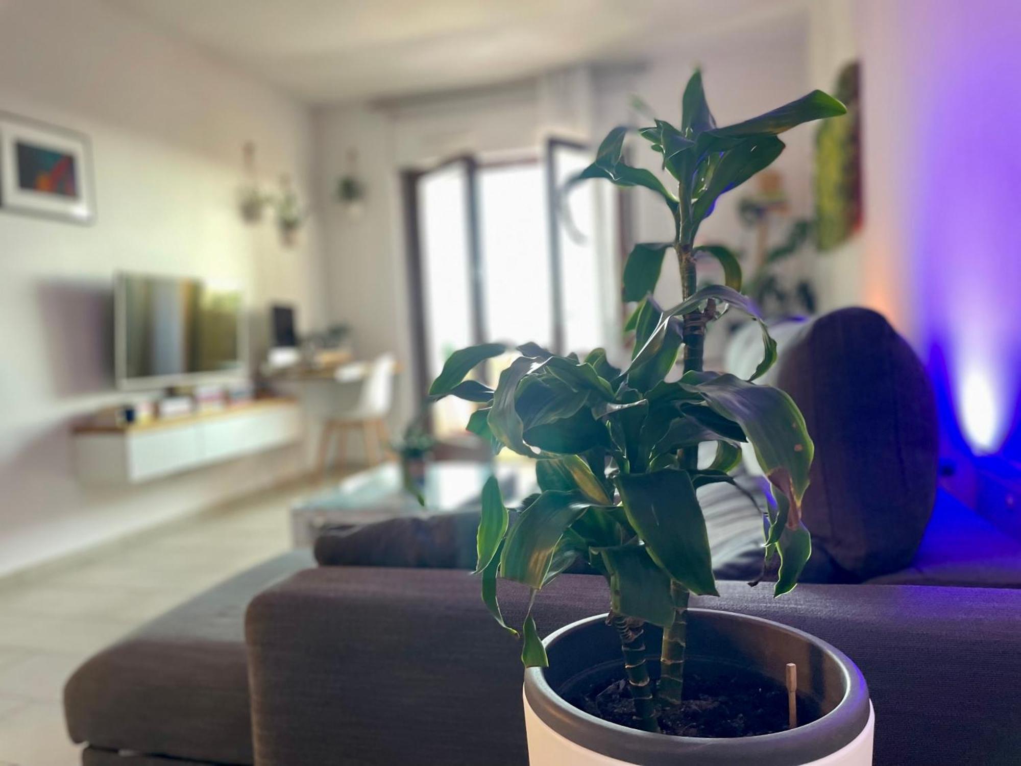 Greenchill House - West Apartment